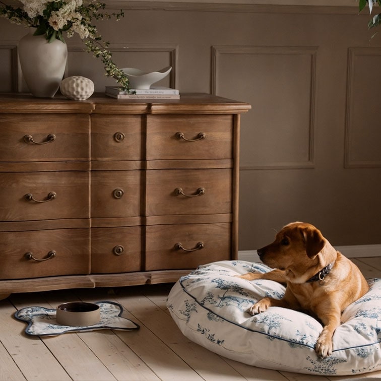 Chien marron couché sur un coussin blanc à motifs près d'une commode en bois vintage