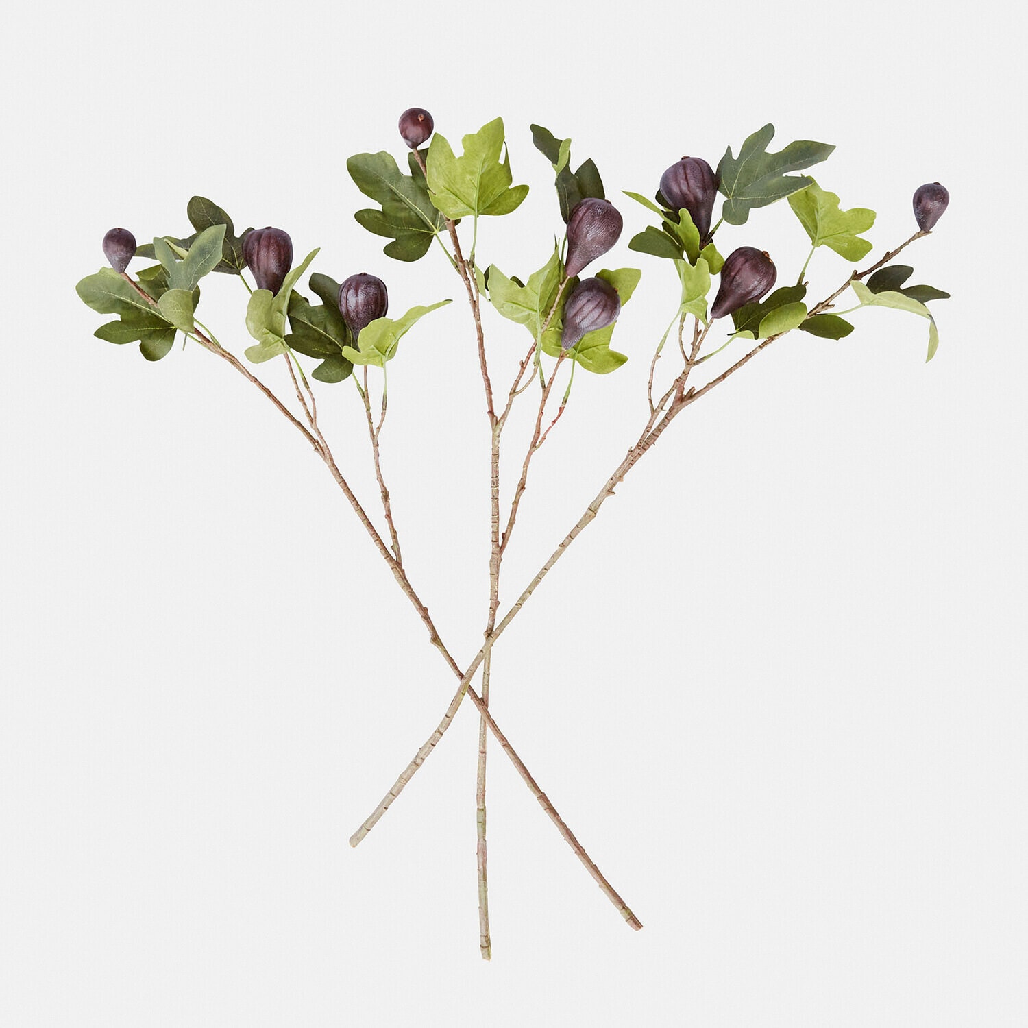 3-delige set siertakken Alverino