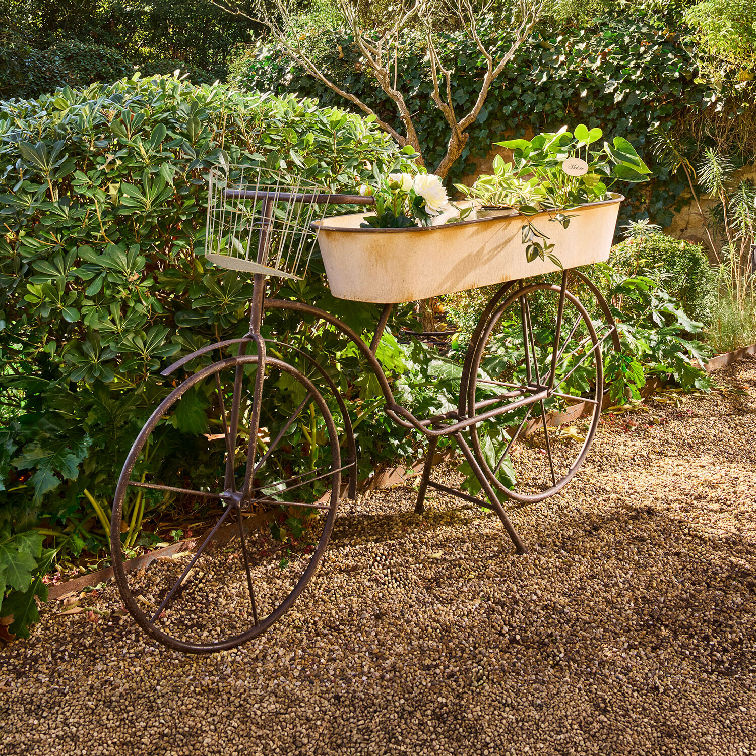 Plantentafel Donnérie Decoratieve metalen fiets met witte plantenbak en groene planten op grindpad in tuin