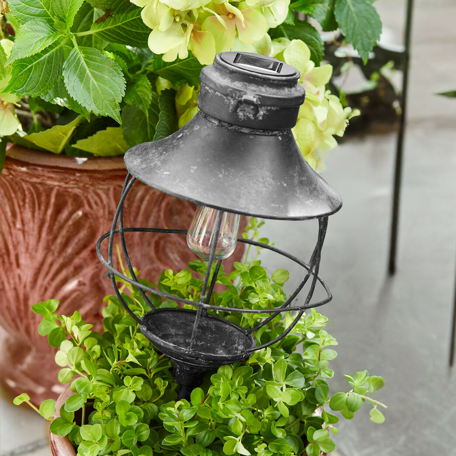 Lantaarn op zonne-energie Trelonne Zwarte metalen tuinlamp met kap en gloeilamp, geplaatst in een pot met groene planten