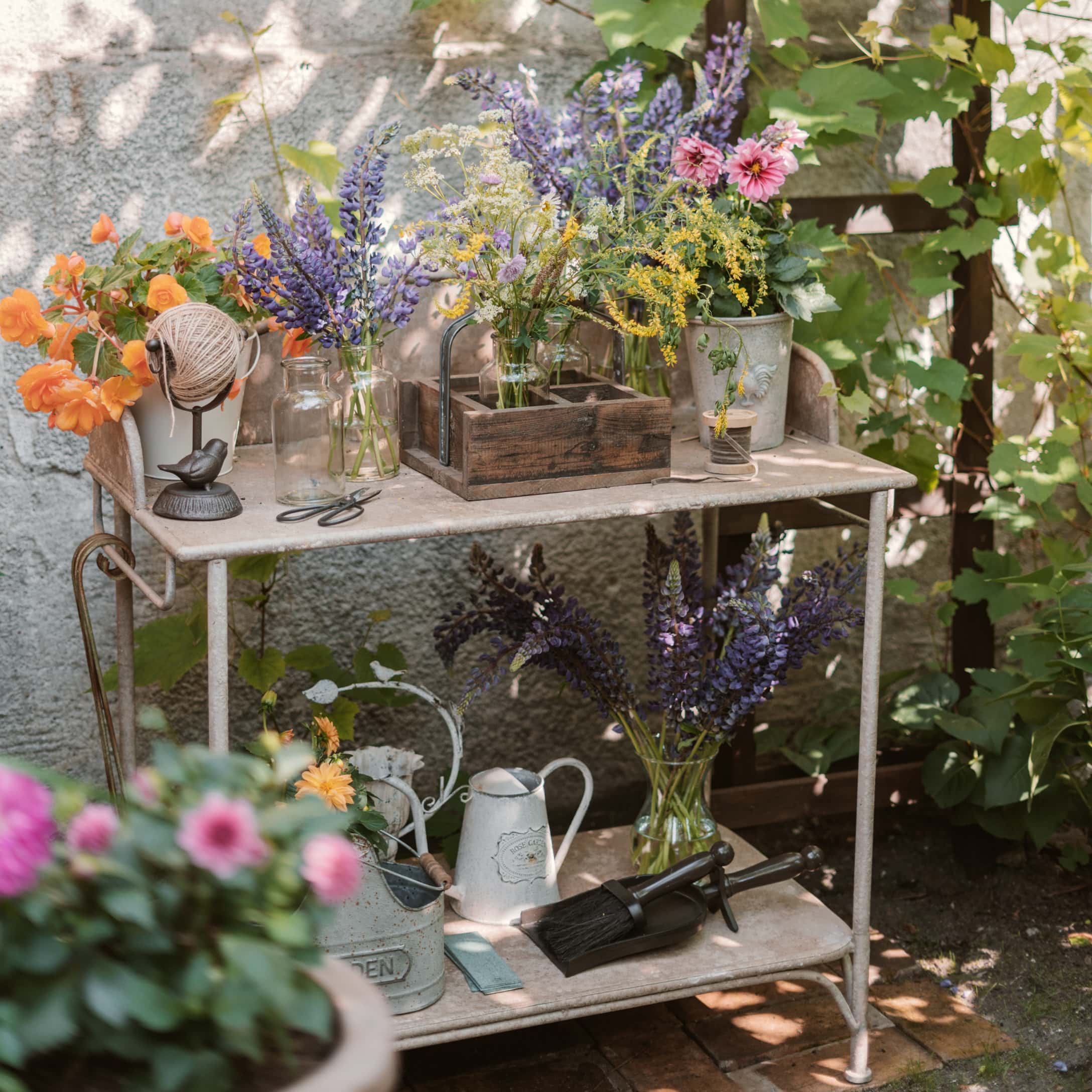 Découvrez l'univers de...