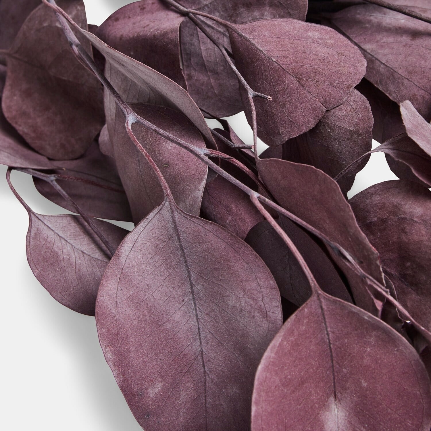 Kunstbloem eucalyptus Ianthee