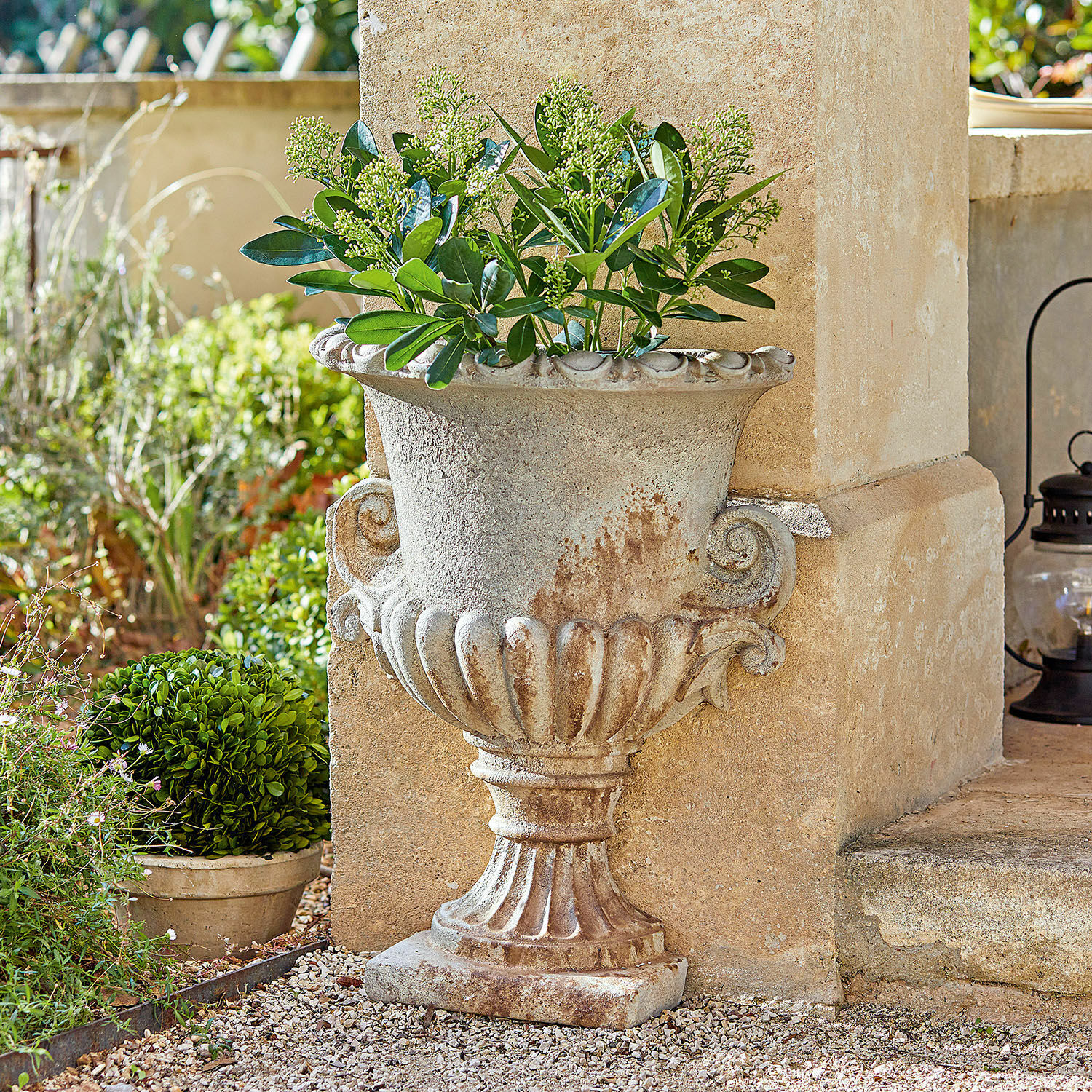 Amfoor Cevio Decoratieve bloempot van beige steen met groene planten voor de tuin