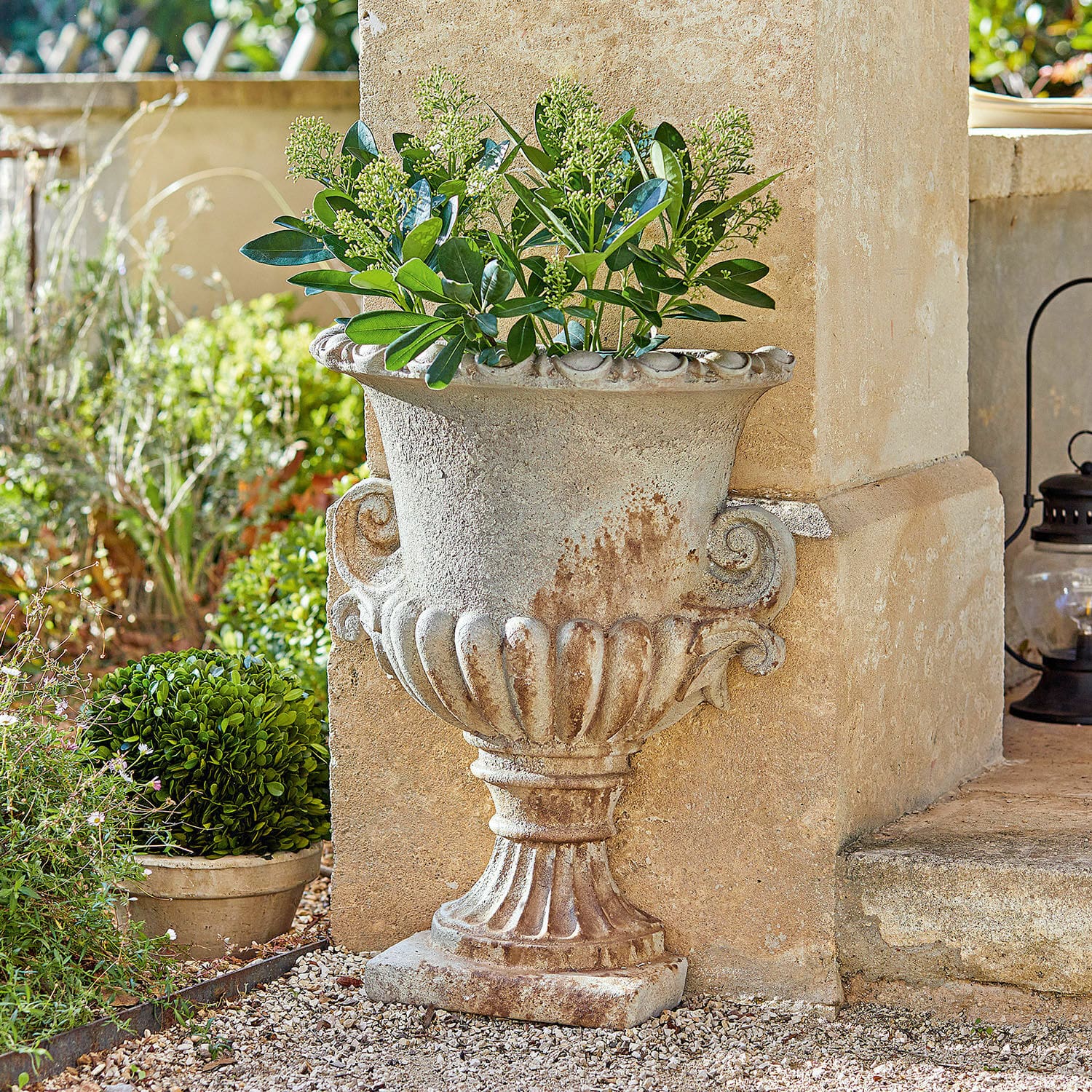 Amphore Cevio Jardinière décorative en pierre beige avec plantes vertes pour jardin extérieur