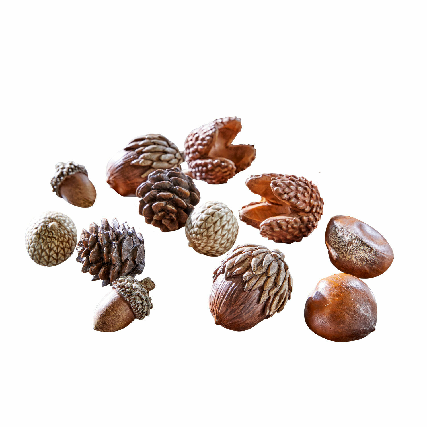 Lot de 12 décorations d'automne Vibius Ensemble de noix décoratives et pommes de pin en nuances naturelles de brun sur fond blanc