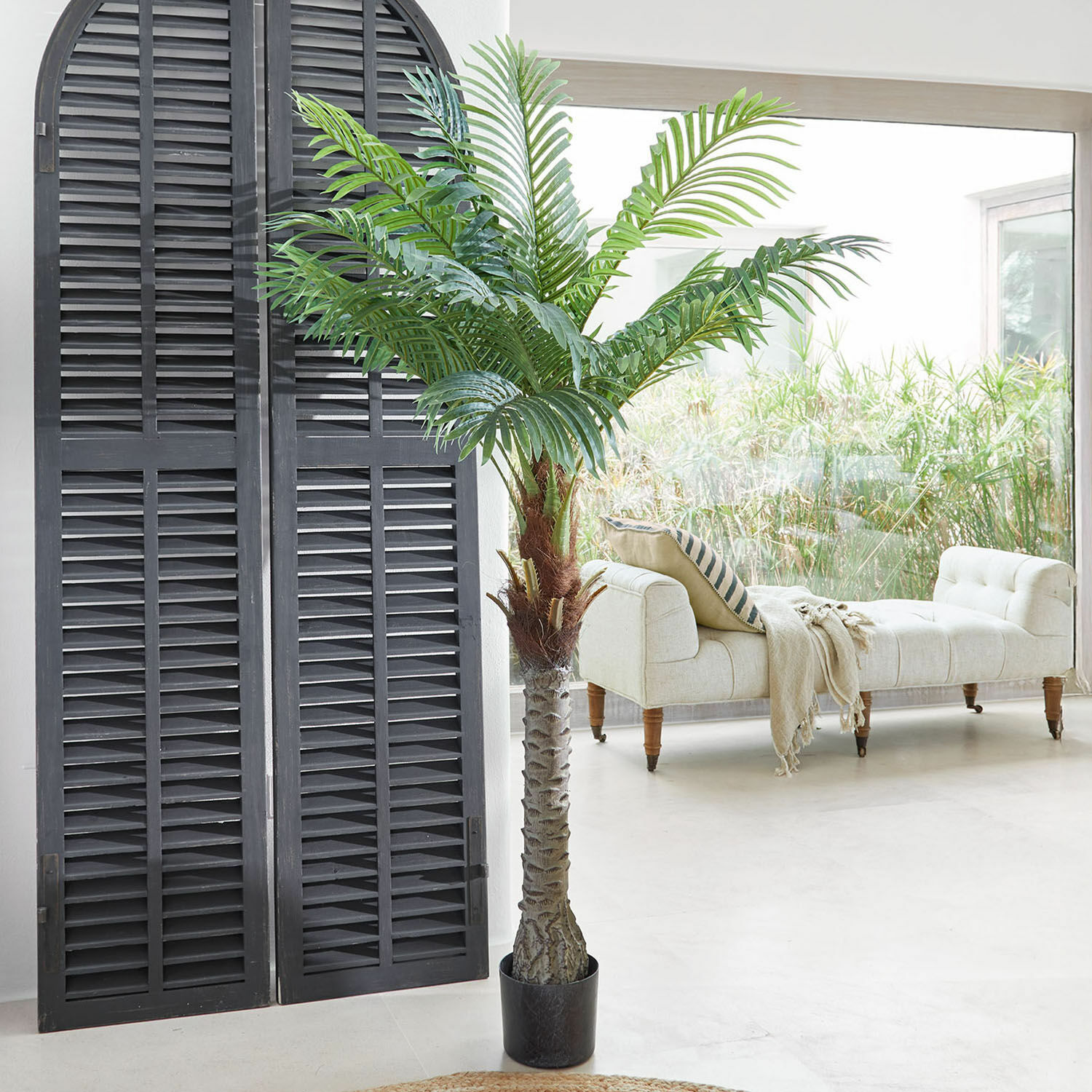 Decoratieve potplant Zephyriel
