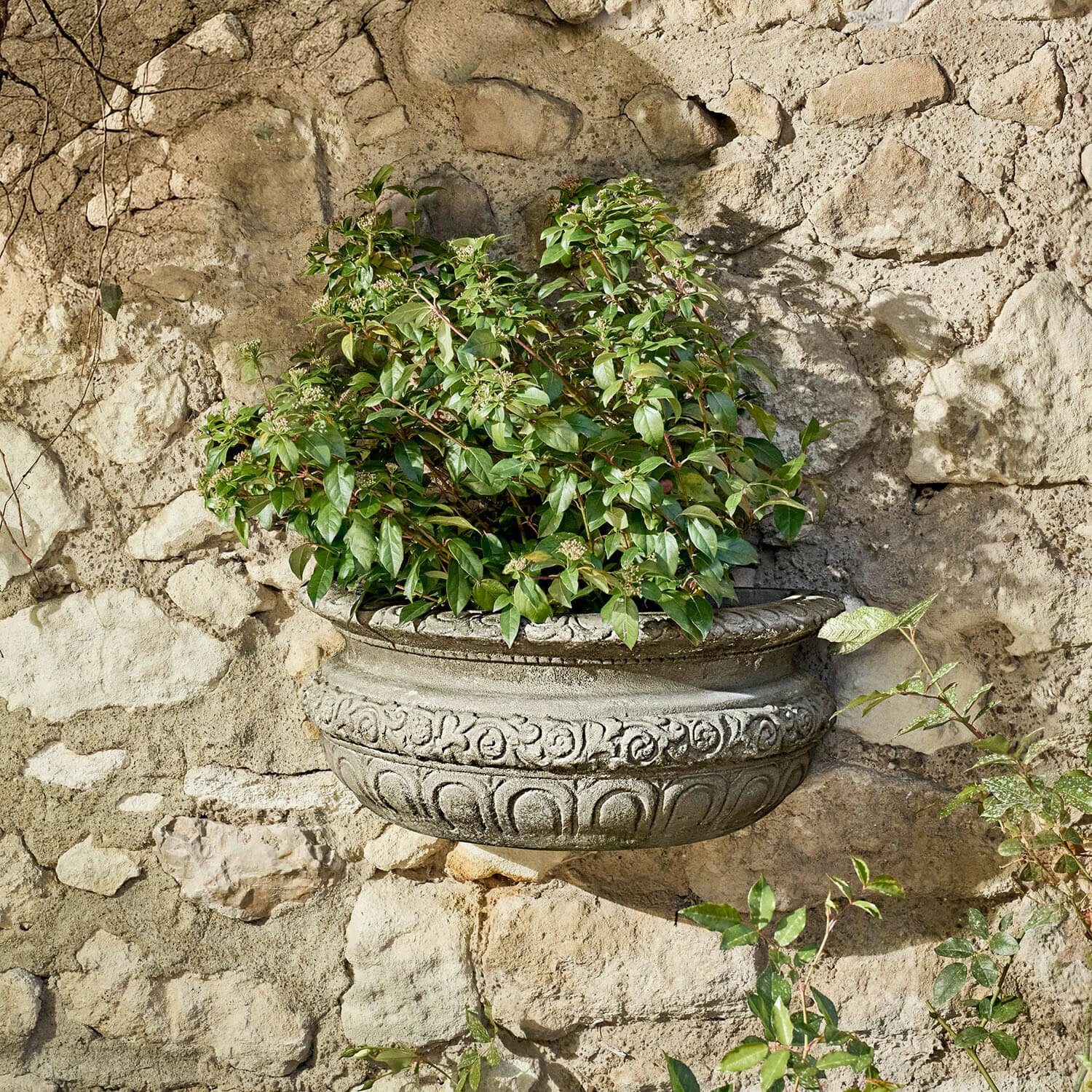 Sierpot Lendoria