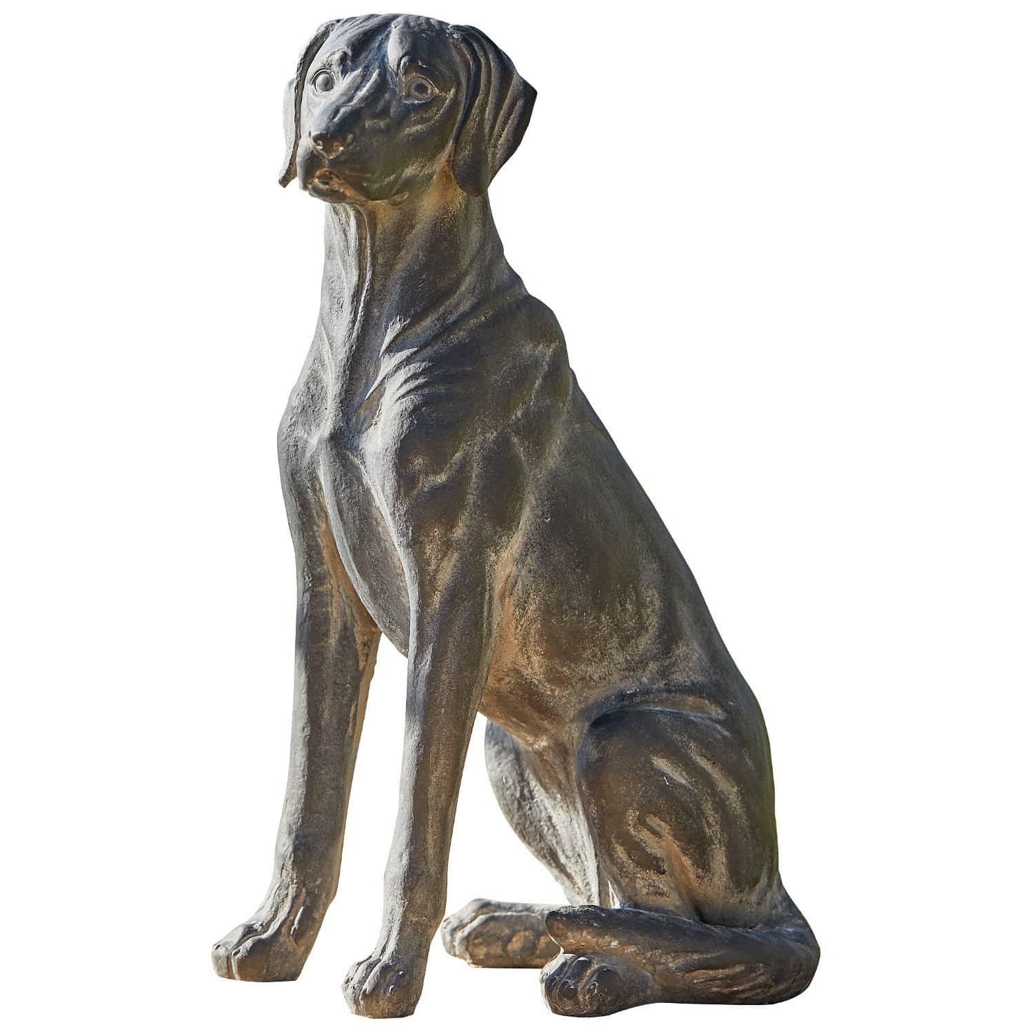 Hond Healy