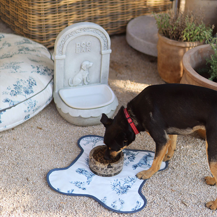 Chien noir avec collier rouge mange dans une gamelle en pierre sur un tapis blanc à motif bleu