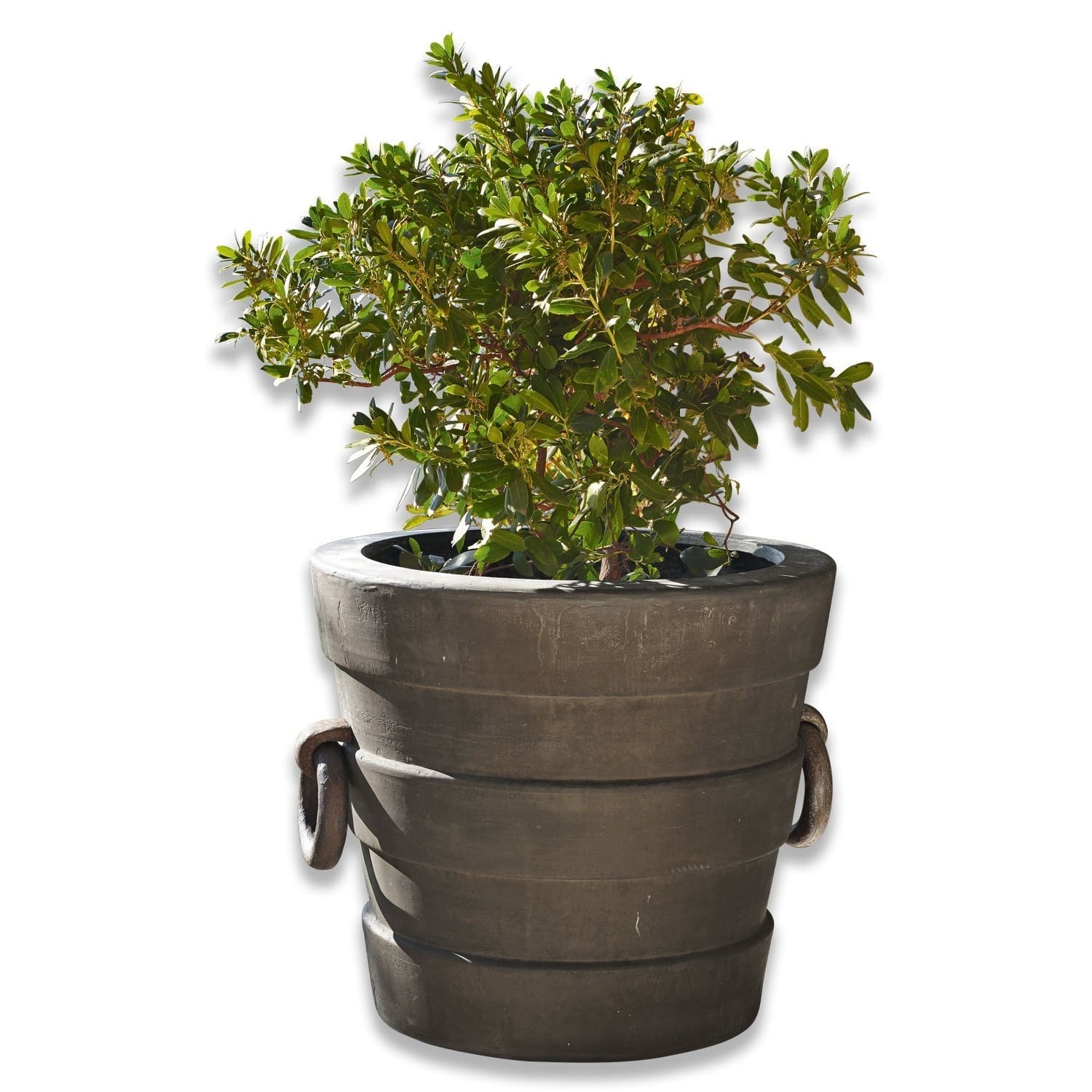 Cache-pot Malcolm