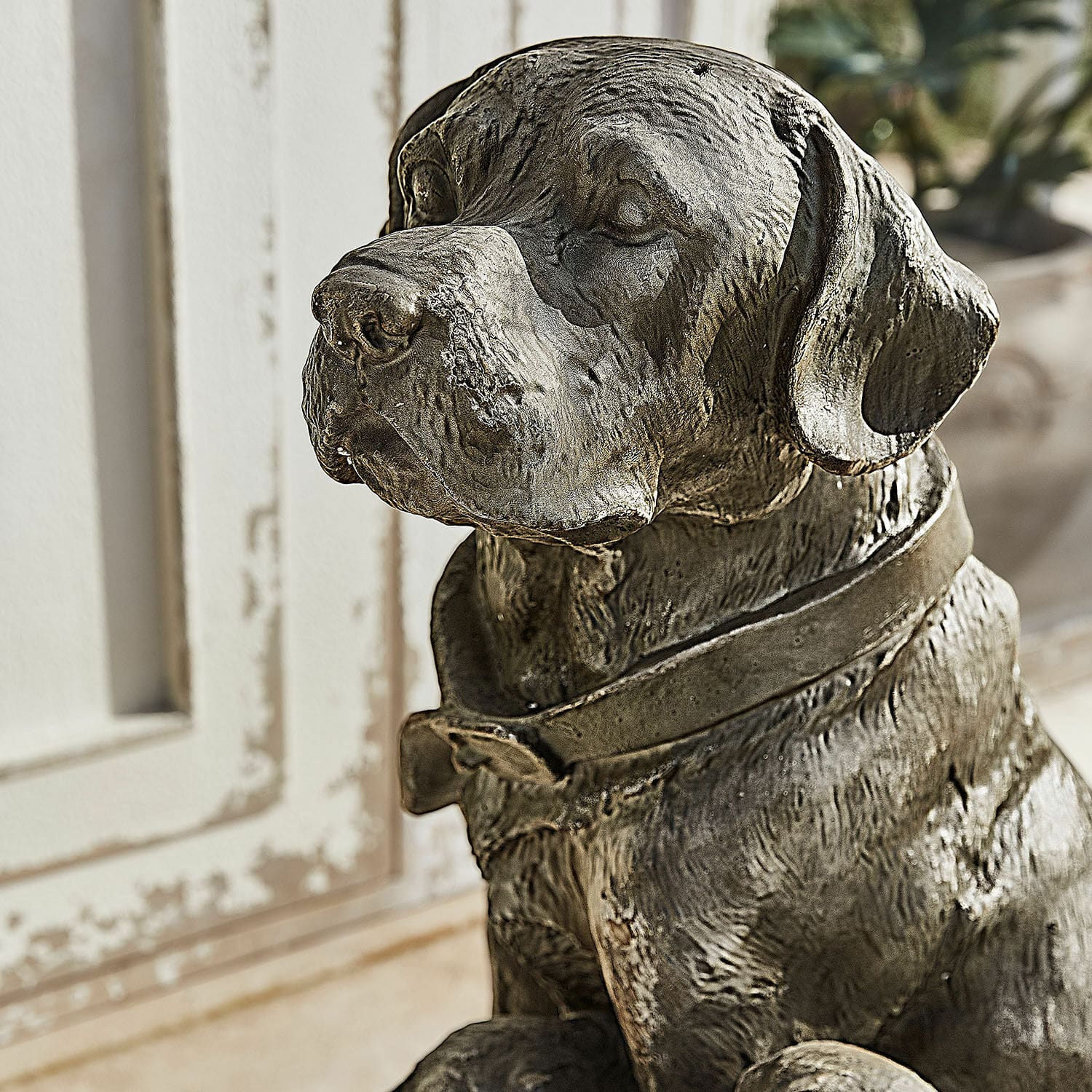 Chien décoratif Samiran