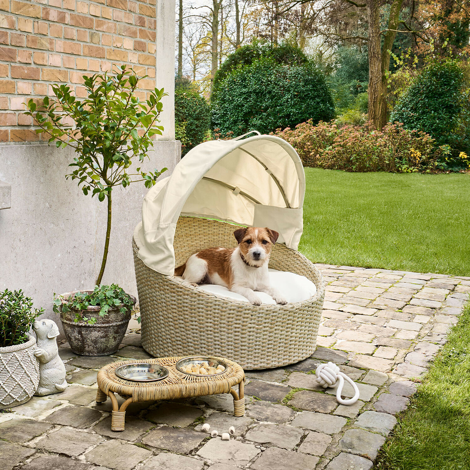 Beige rieten hondenmand met kap buiten, kleine bruin-witte hond ligt erin in de tuin