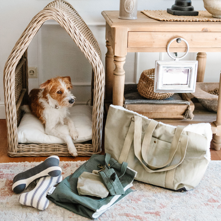 Une vie de chien... chic !