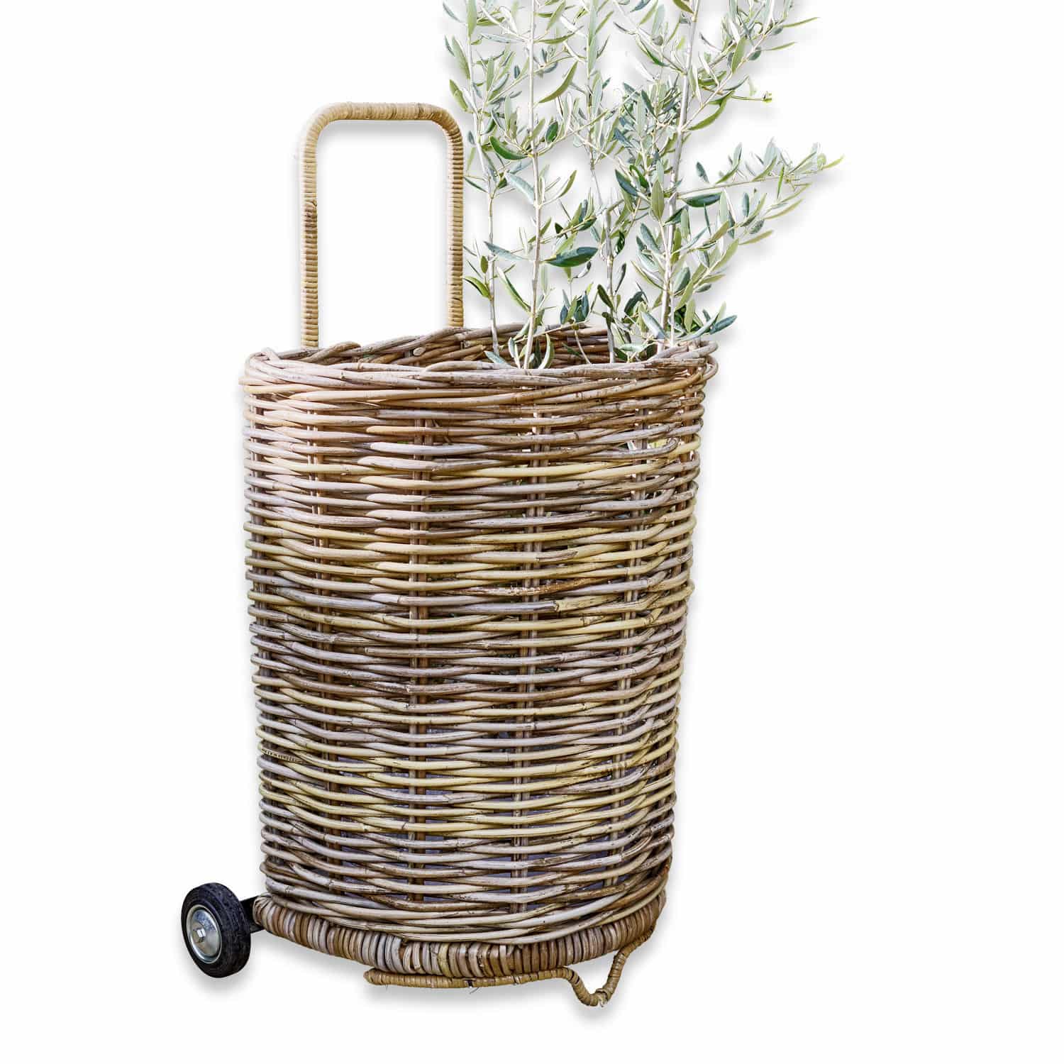 Panier Egbert