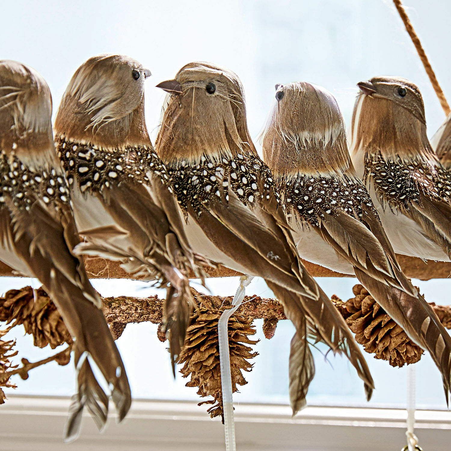 Oiseaux perchés Orely