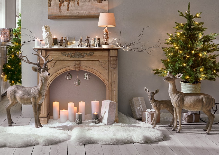 Betoverend winterbos