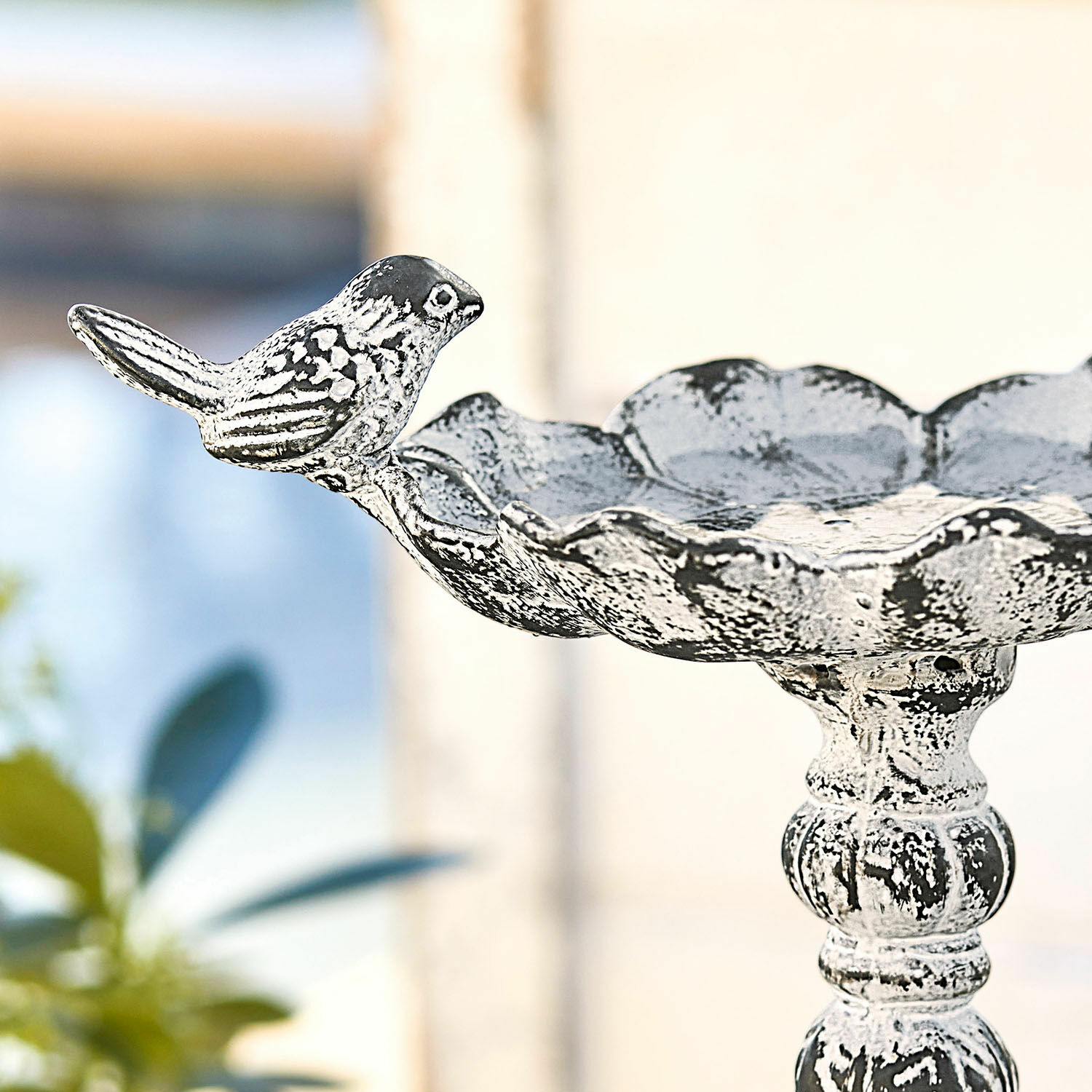 Vogeldrinkschaal Petrofani
