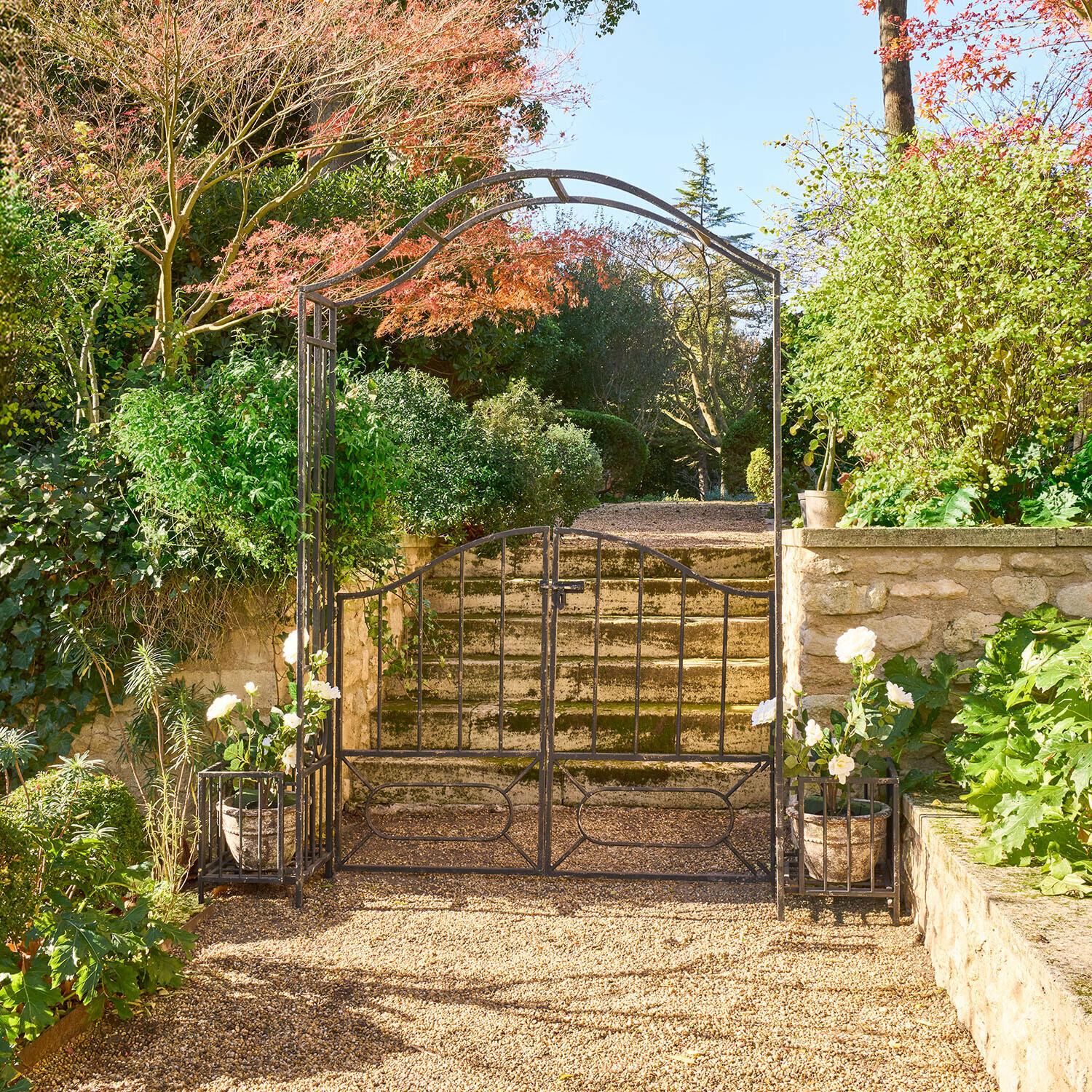 Rozenboog Donnérie Decoratieve metalen tuinpoort met boog en potten met witte bloemen voor stenen trap en groenblijvende planten