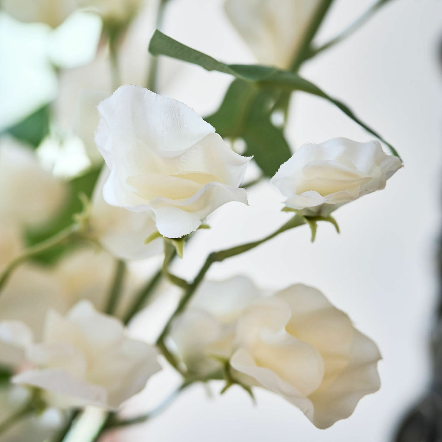 Lot de 6 fleurs Clavigny