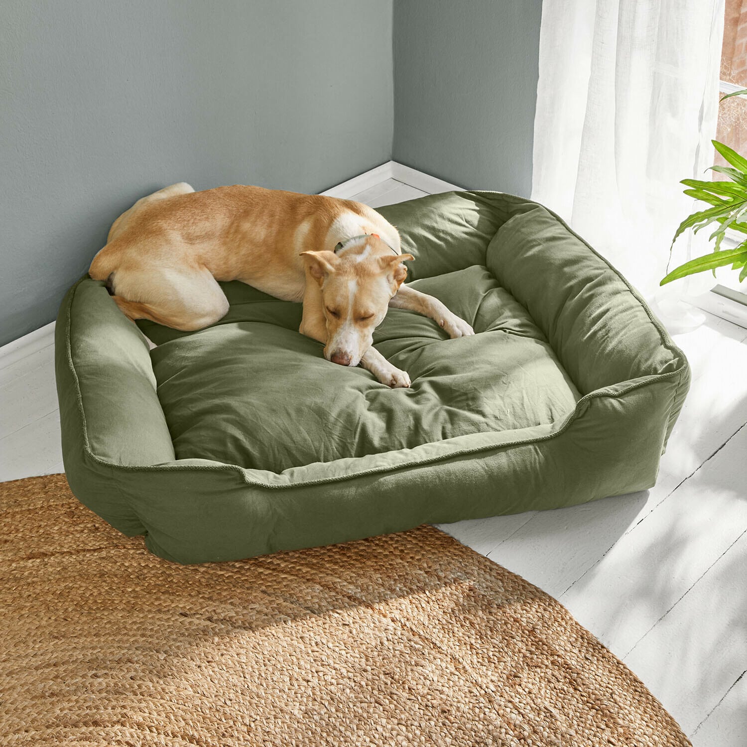 Lit pour animaux Ivandelle