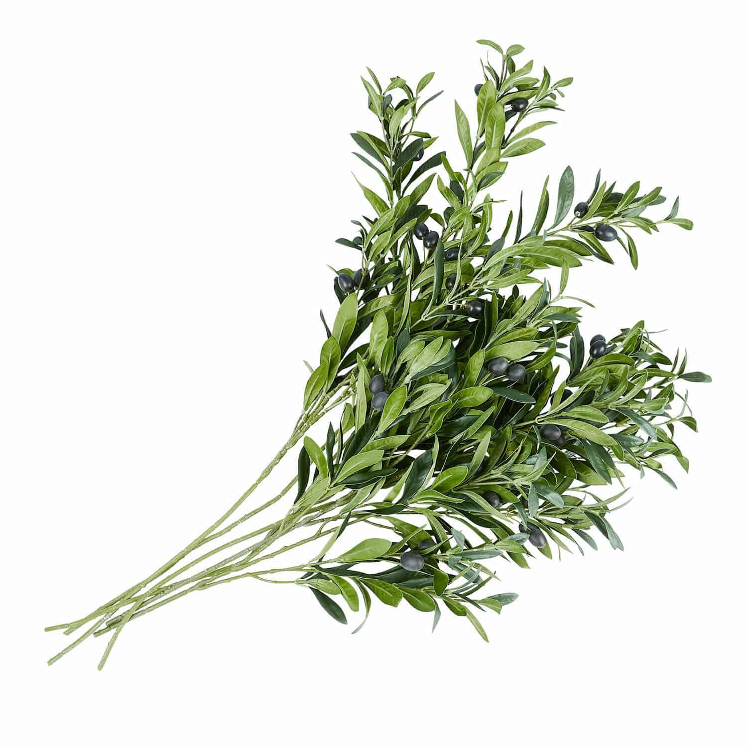 Ensemble de 6 branches d'olivier décoratives avec feuilles vertes et olives noires pour décoration