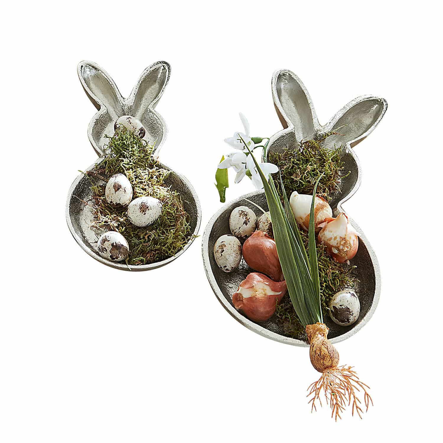 Lot de 2 coupelles Morive