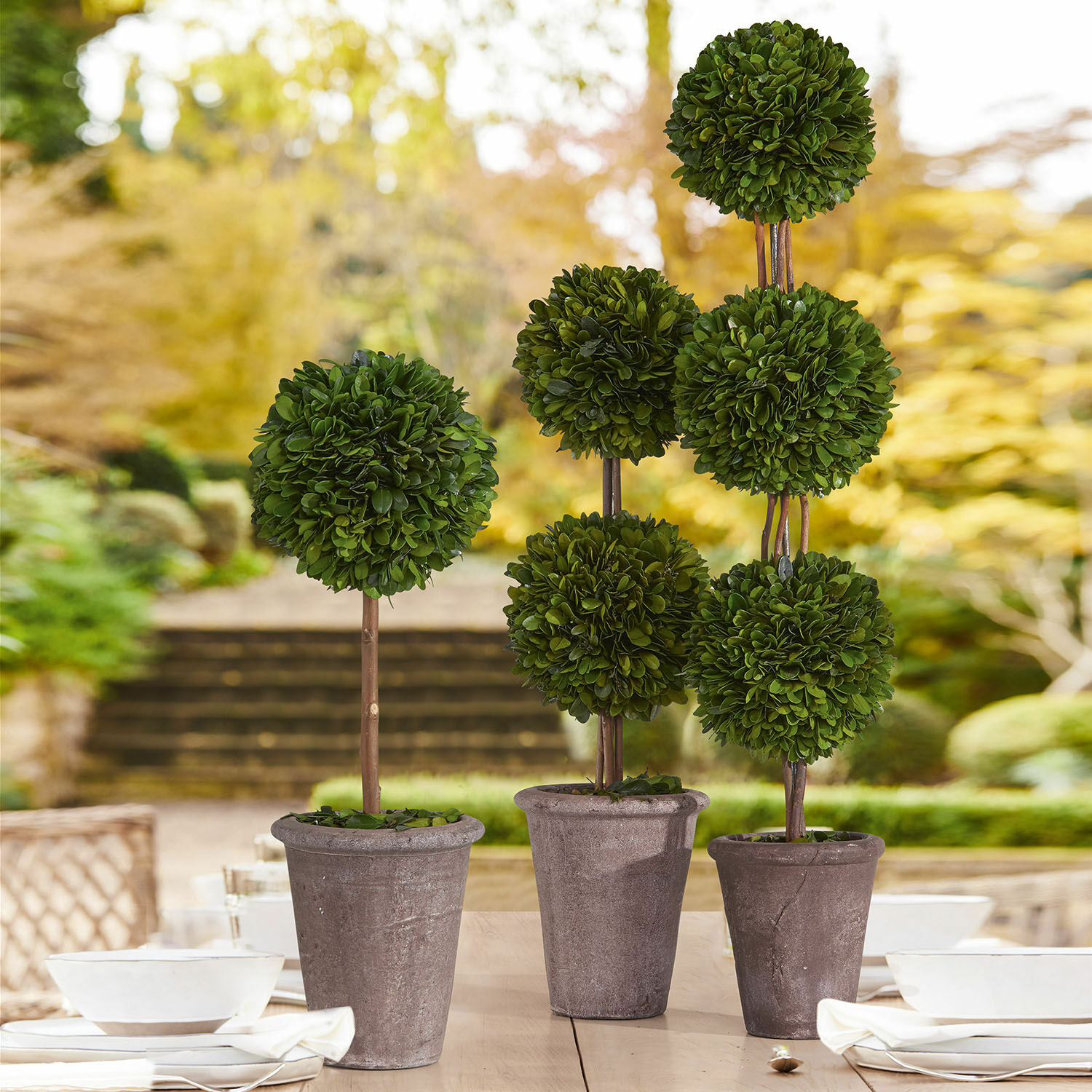 Arbre décoratif Beux Plantes décoratives artificielles en pot avec feuillage vert en forme de boule sur terrasse