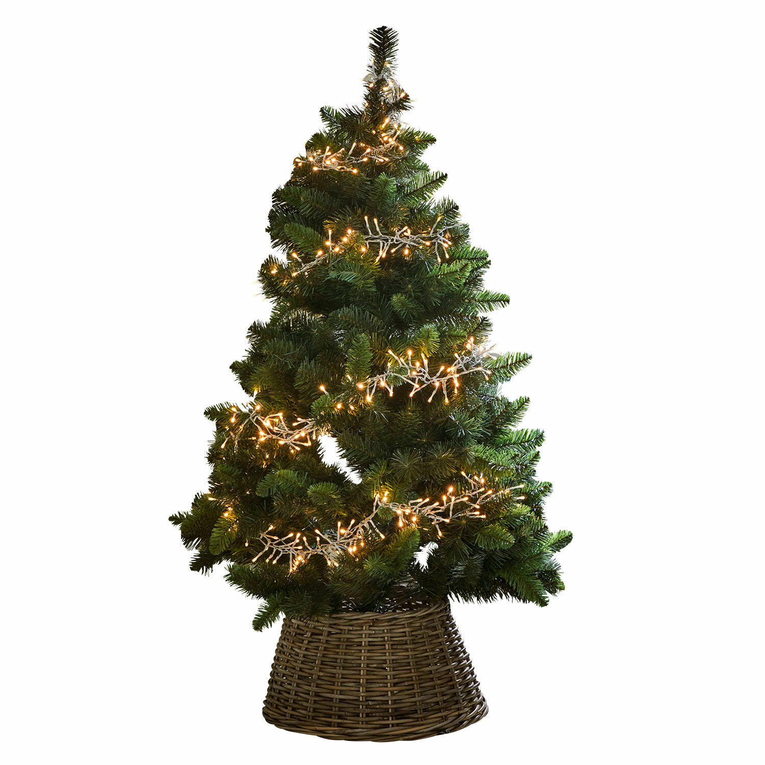Kerstboom Svalberg