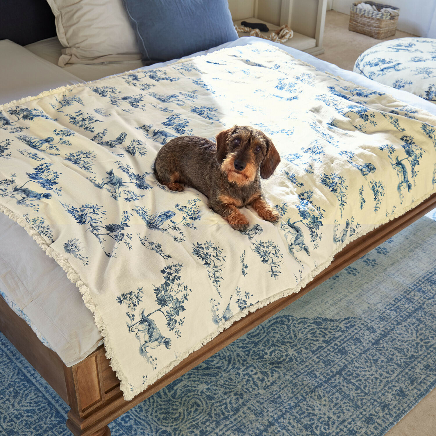 Plaid pour animaux Ymélorine Plaid en coton crème avec motif animalier bleu sur lit en bois avec chien teckel