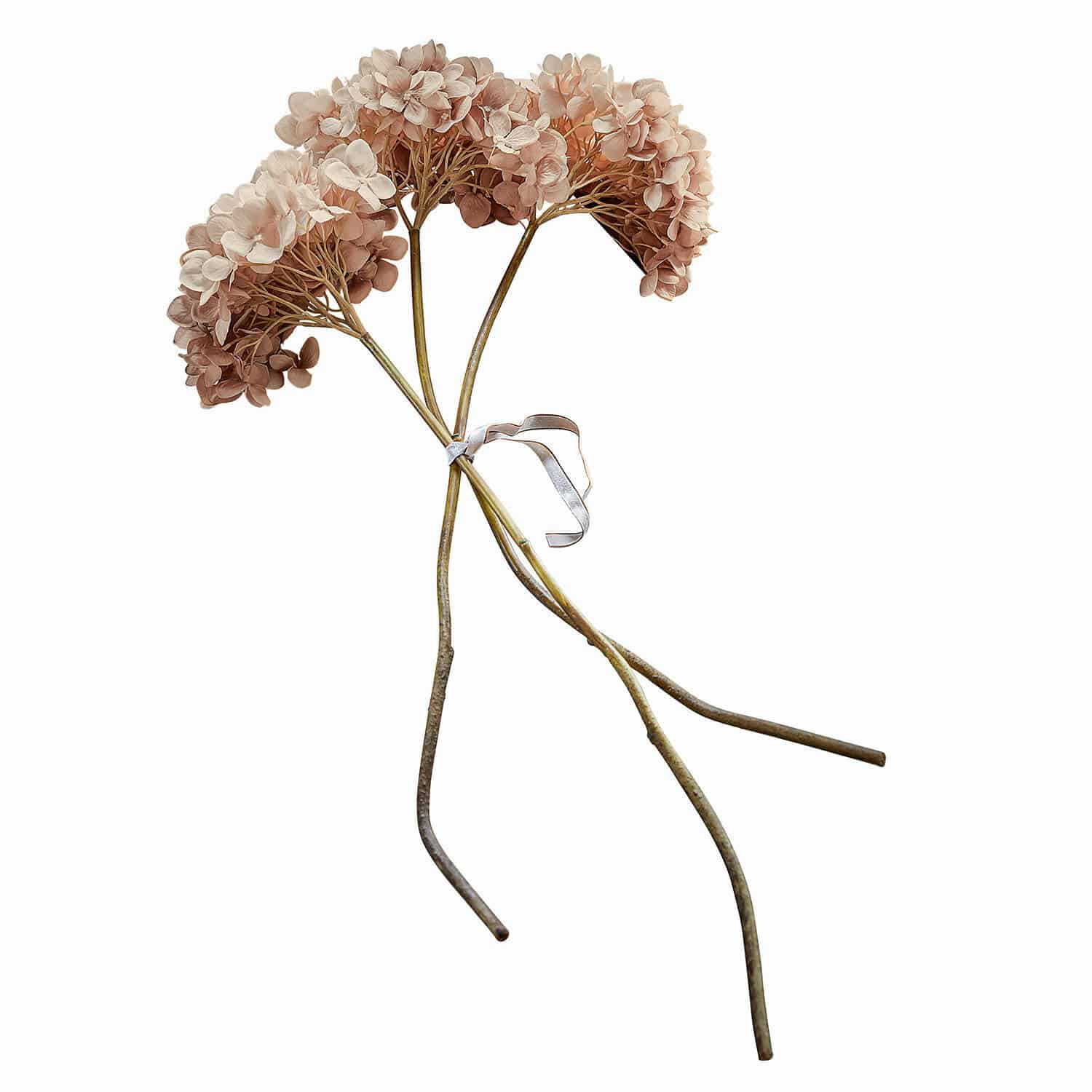 Sierbloem set van 3 Amarente Bos gedroogde hortensia bloemen in beige-bruin tinten voor natuurlijke interieurdecoratie