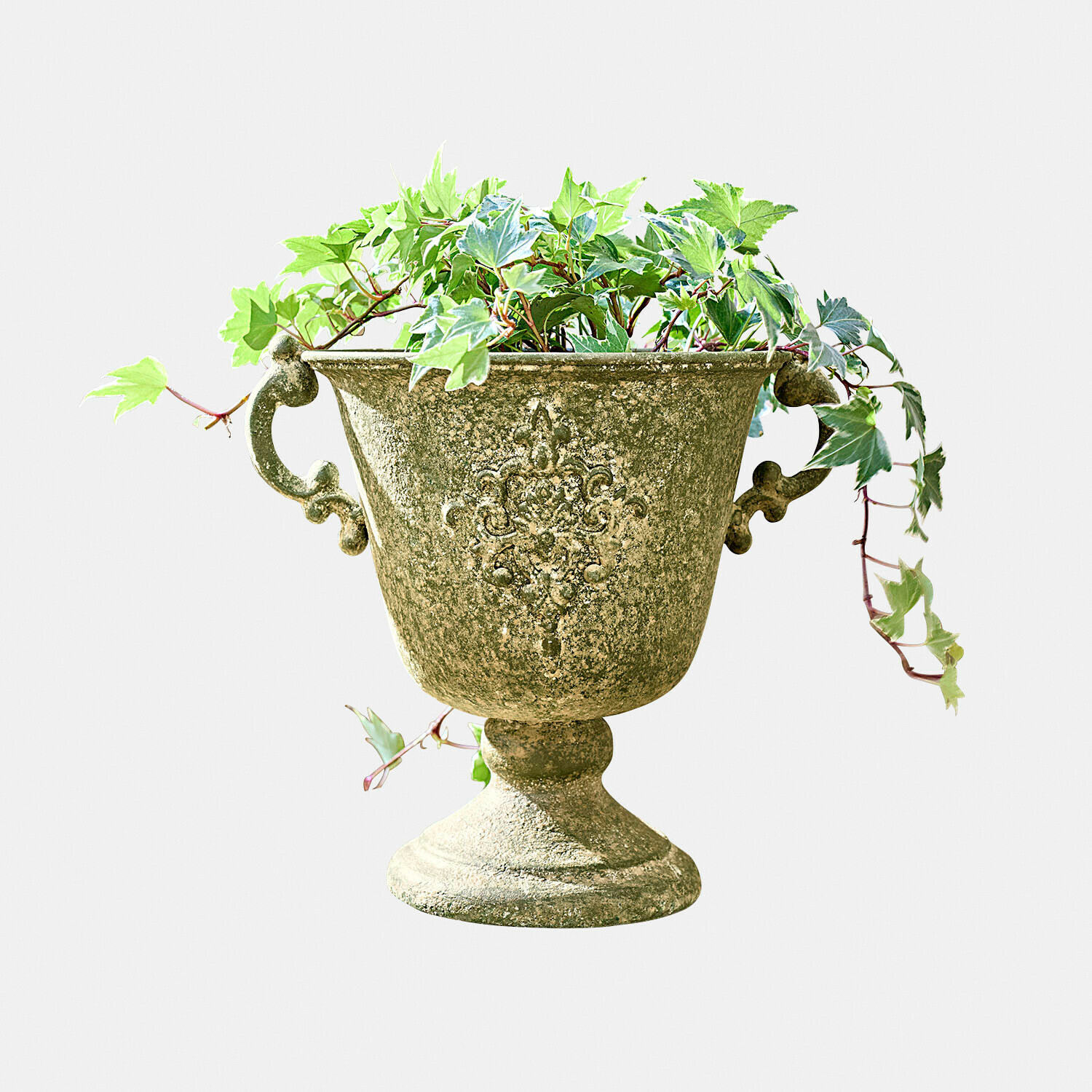 Decoratieve bloempot met groen verouderd steeneffect en groene klimop