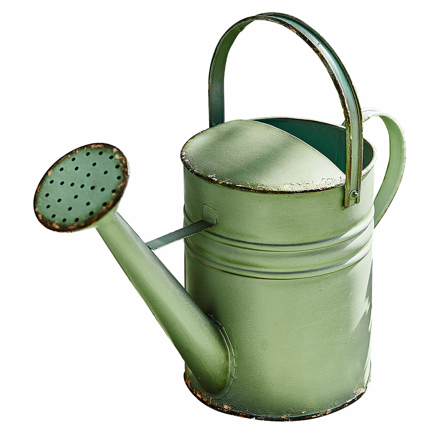 Gieter Elliana Groene metalen gieter met handvat en tuit voor het besproeien van tuinplanten