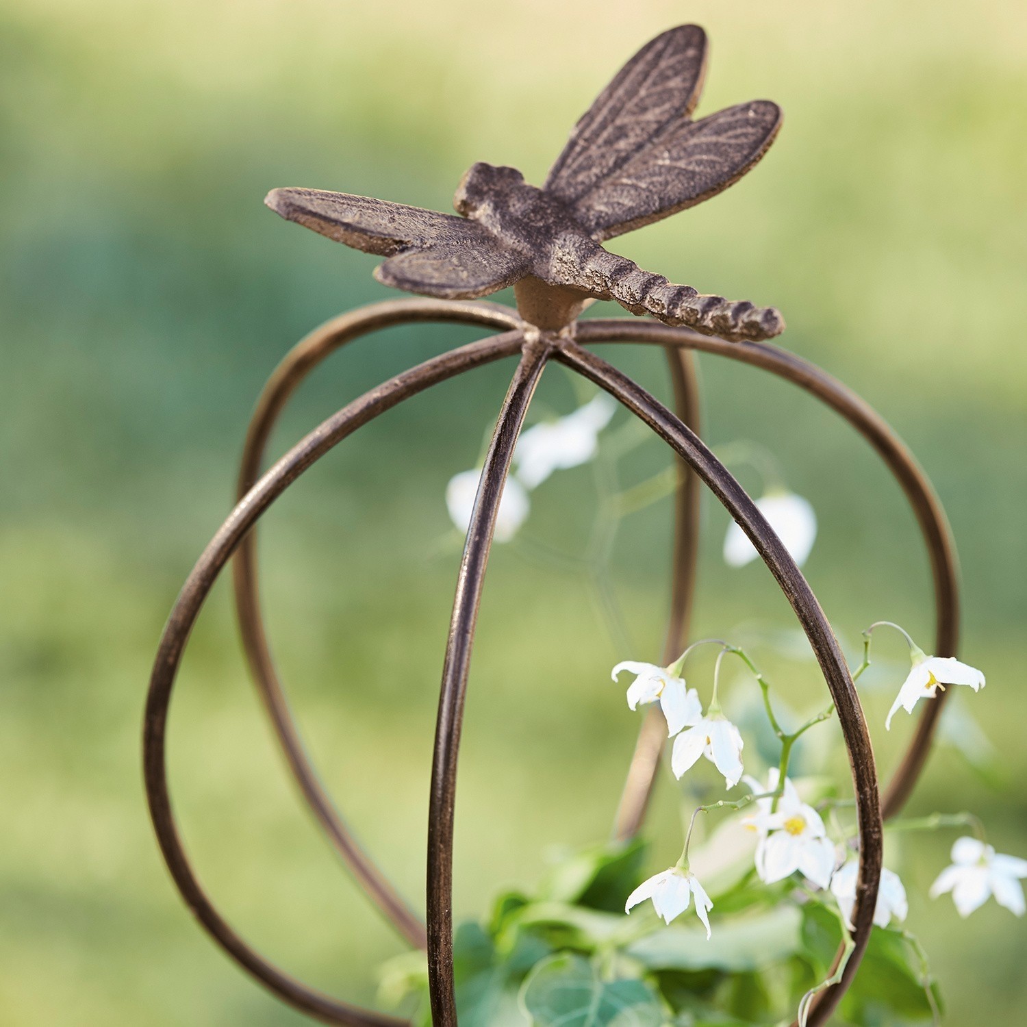 Piquet de jardin Libelle