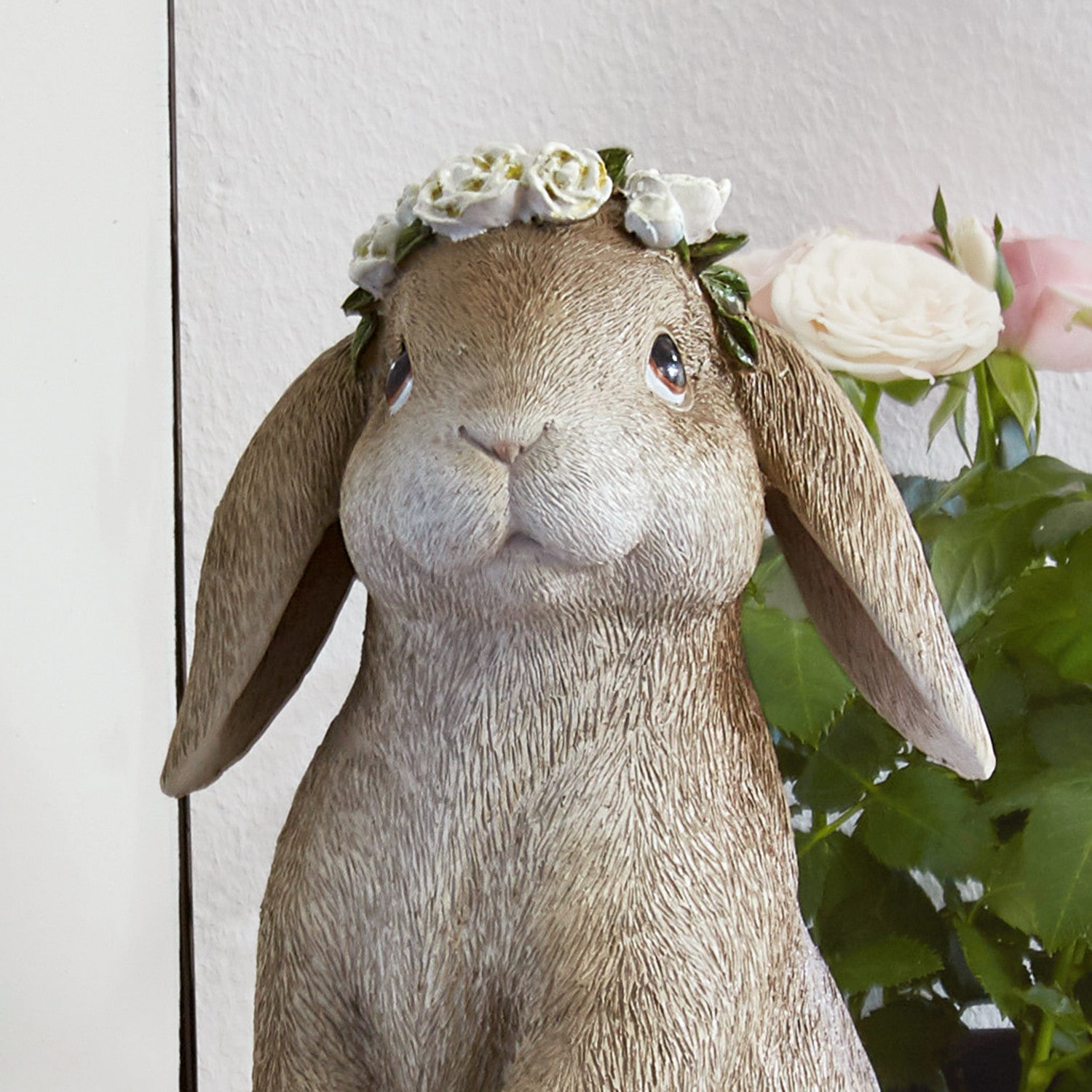Lapin Sweety