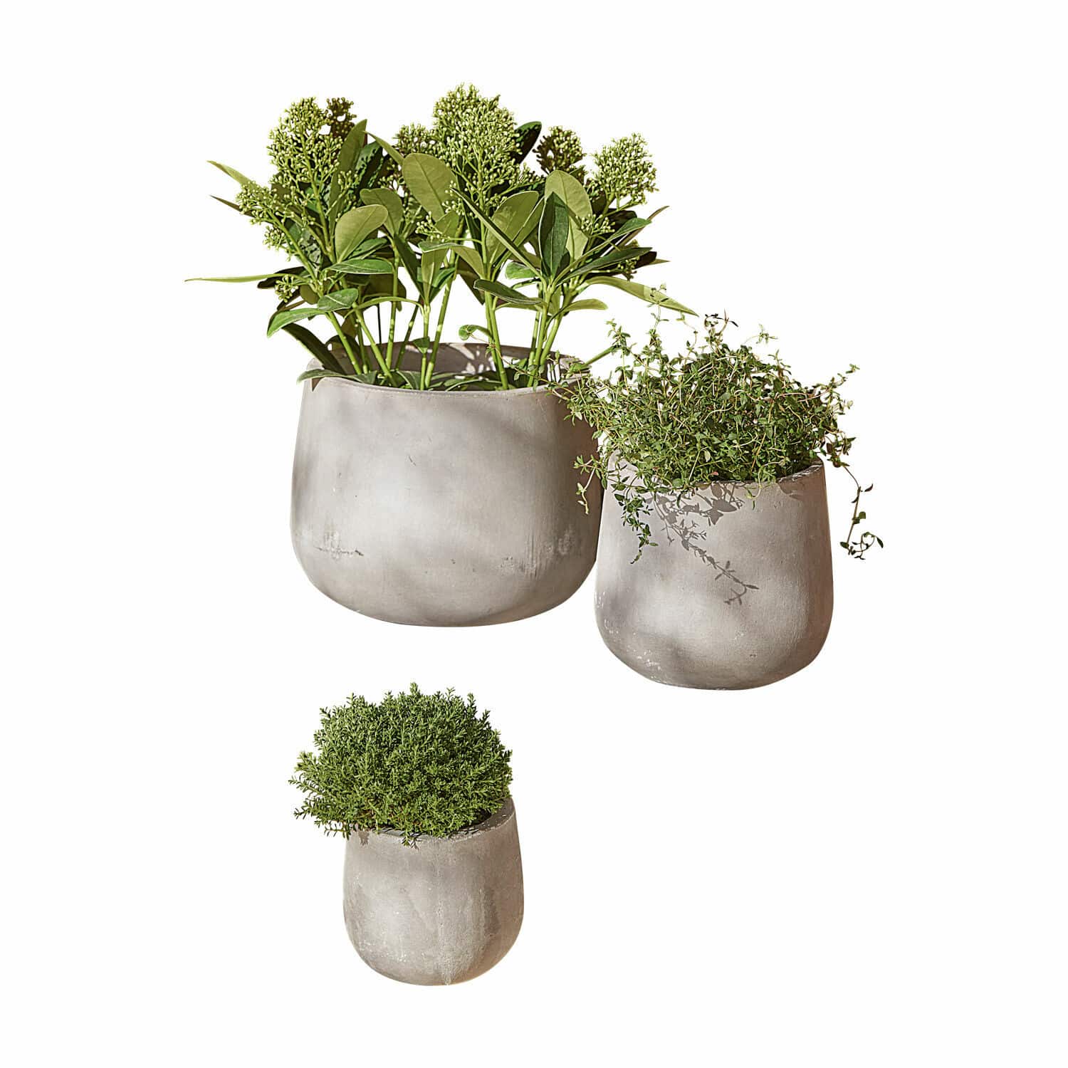 Set van 3 grijze betonnen bloempotten Sunvale met groene planten, decoratie voor binnen en buiten
