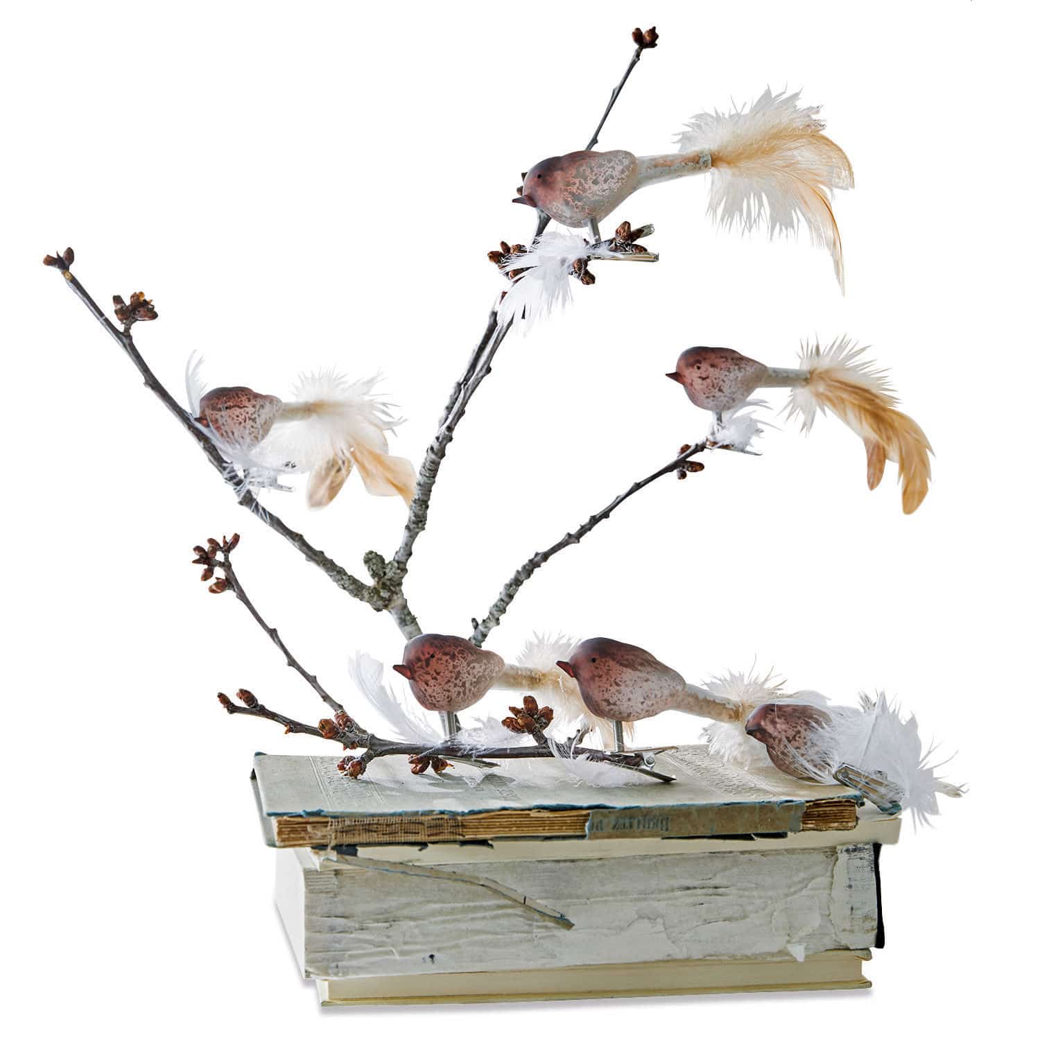 Vogel set van 6 Ceallach