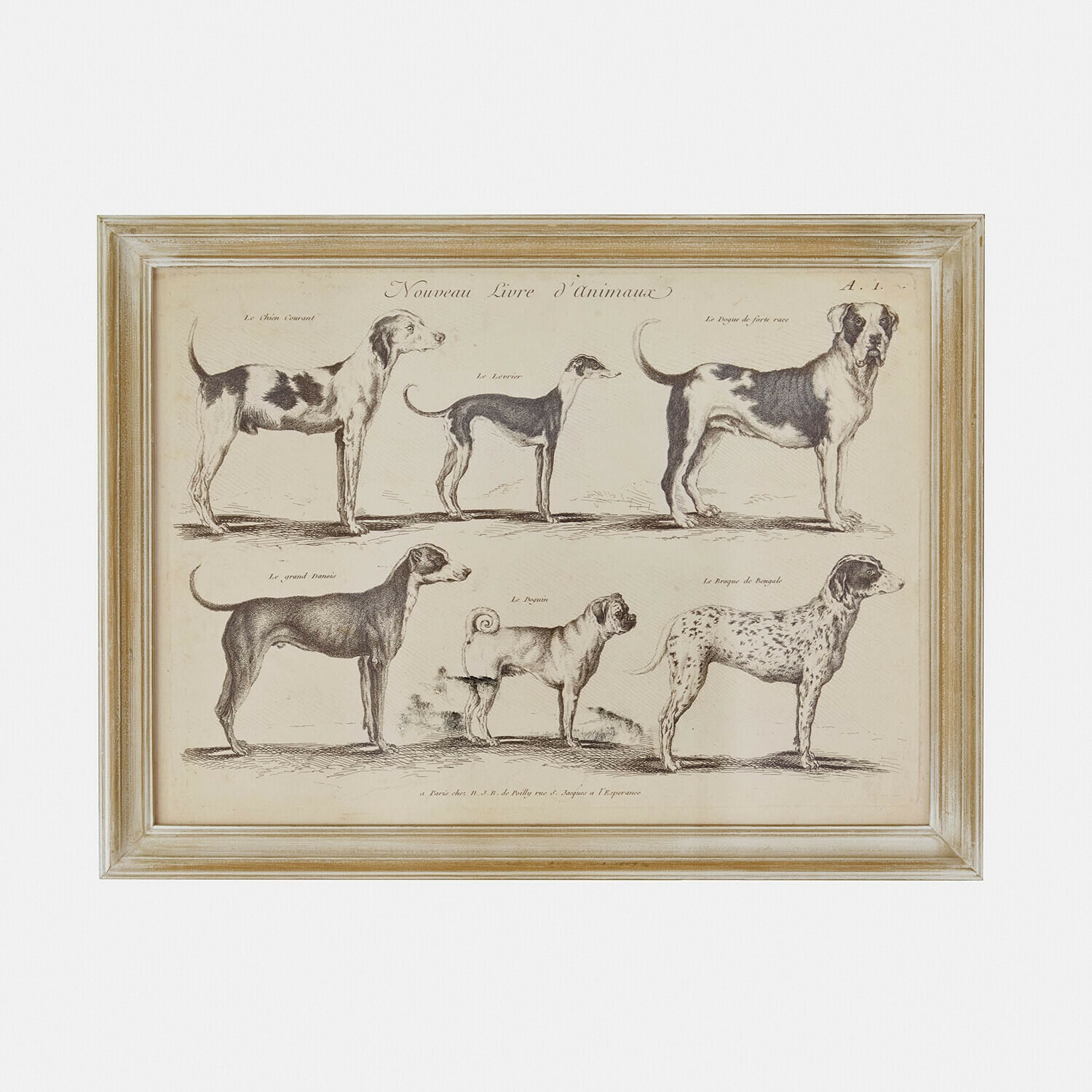 Afbeelding Wendrel Ingelijste tekening van zes hondenrassen in vintage stijl op beige achtergrond
