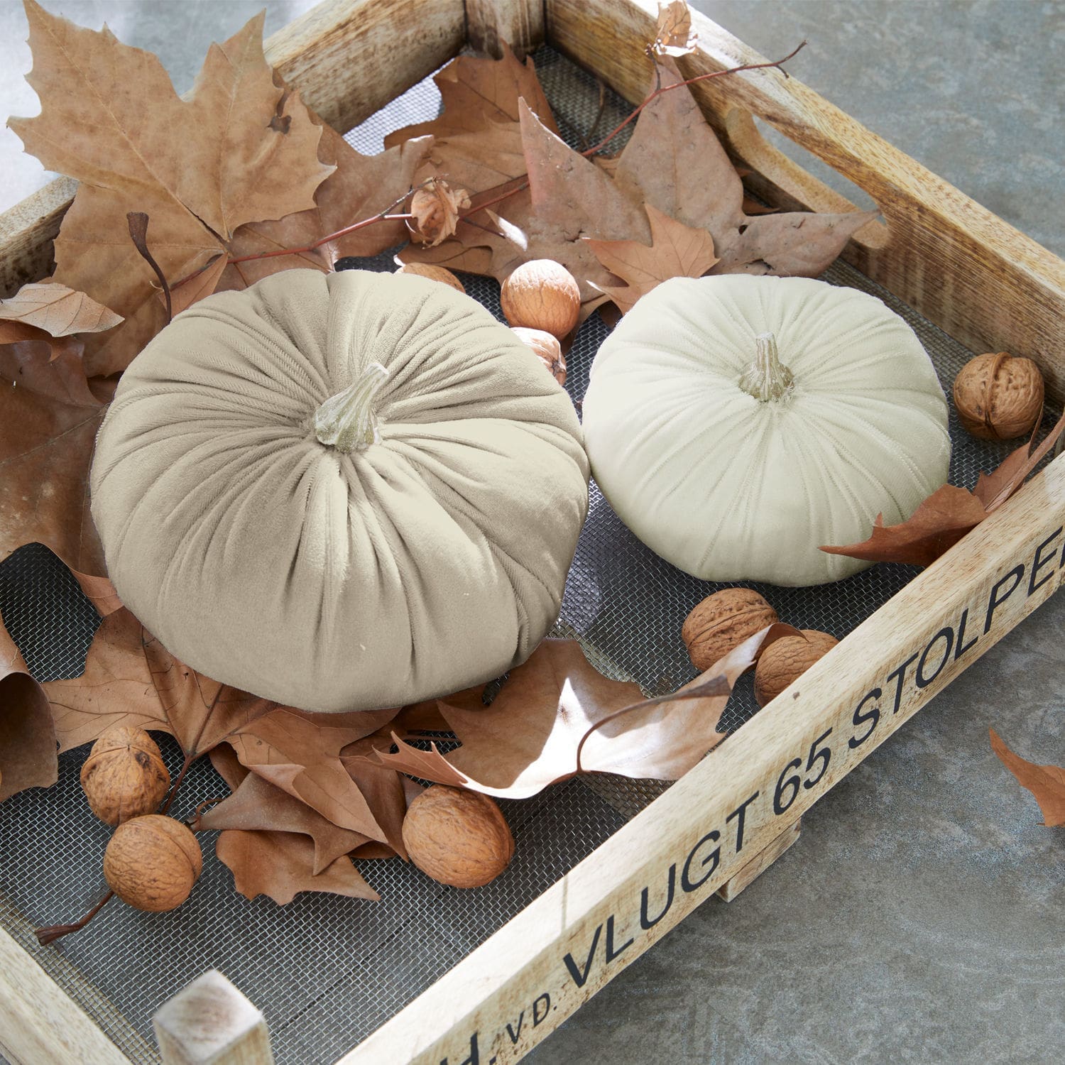 Lot de 2 citrouilles Metous