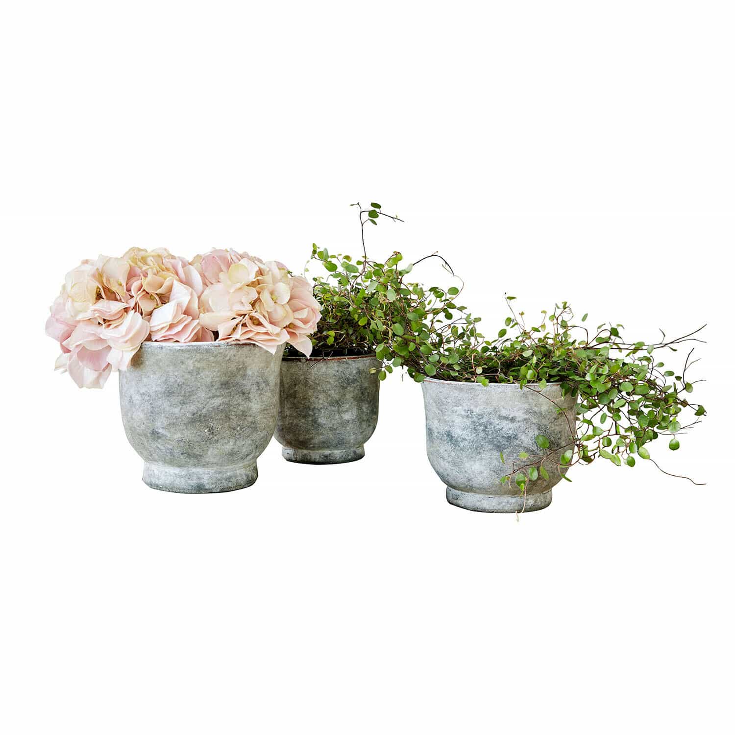 Lot de 3 cache-pots Ravetta Ensemble de trois pots en béton gris avec fleurs roses et plantes vertes pour décoration intérieure