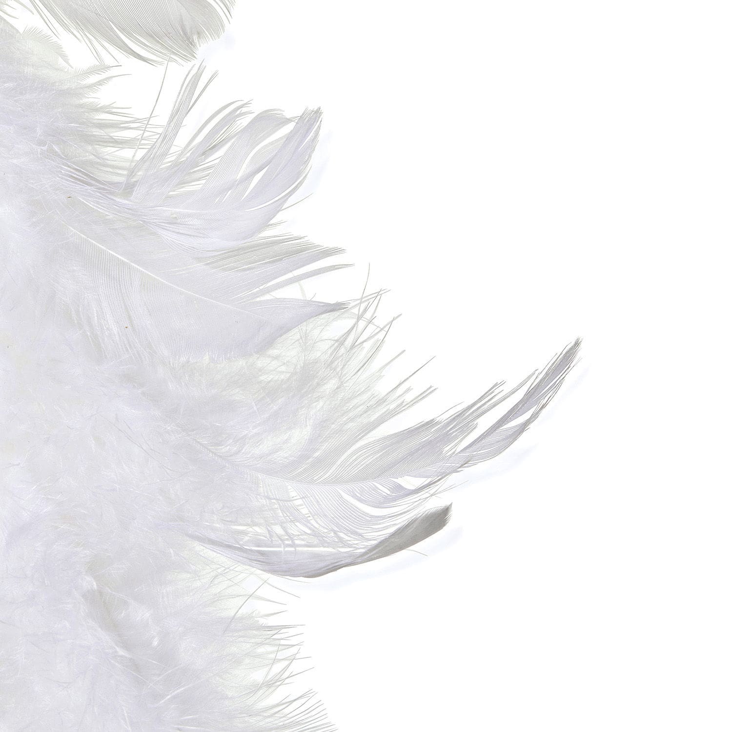 Lot de 2 guirlandes en plumes Siseur