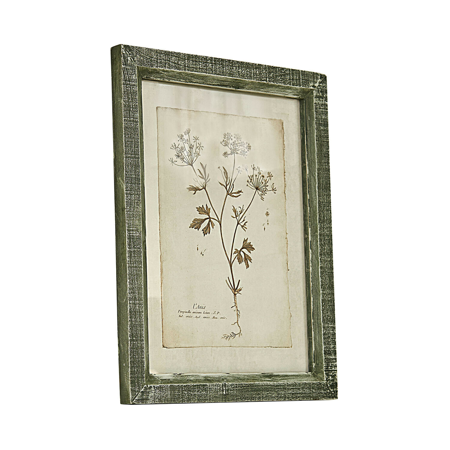 Tableau Kenwick Tableau botanique avec cadre en bois vert et dessin de plante sur fond beige pour décoration murale