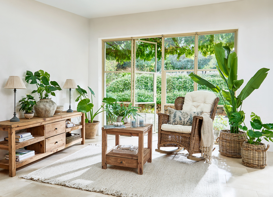 La nature investit la maison
