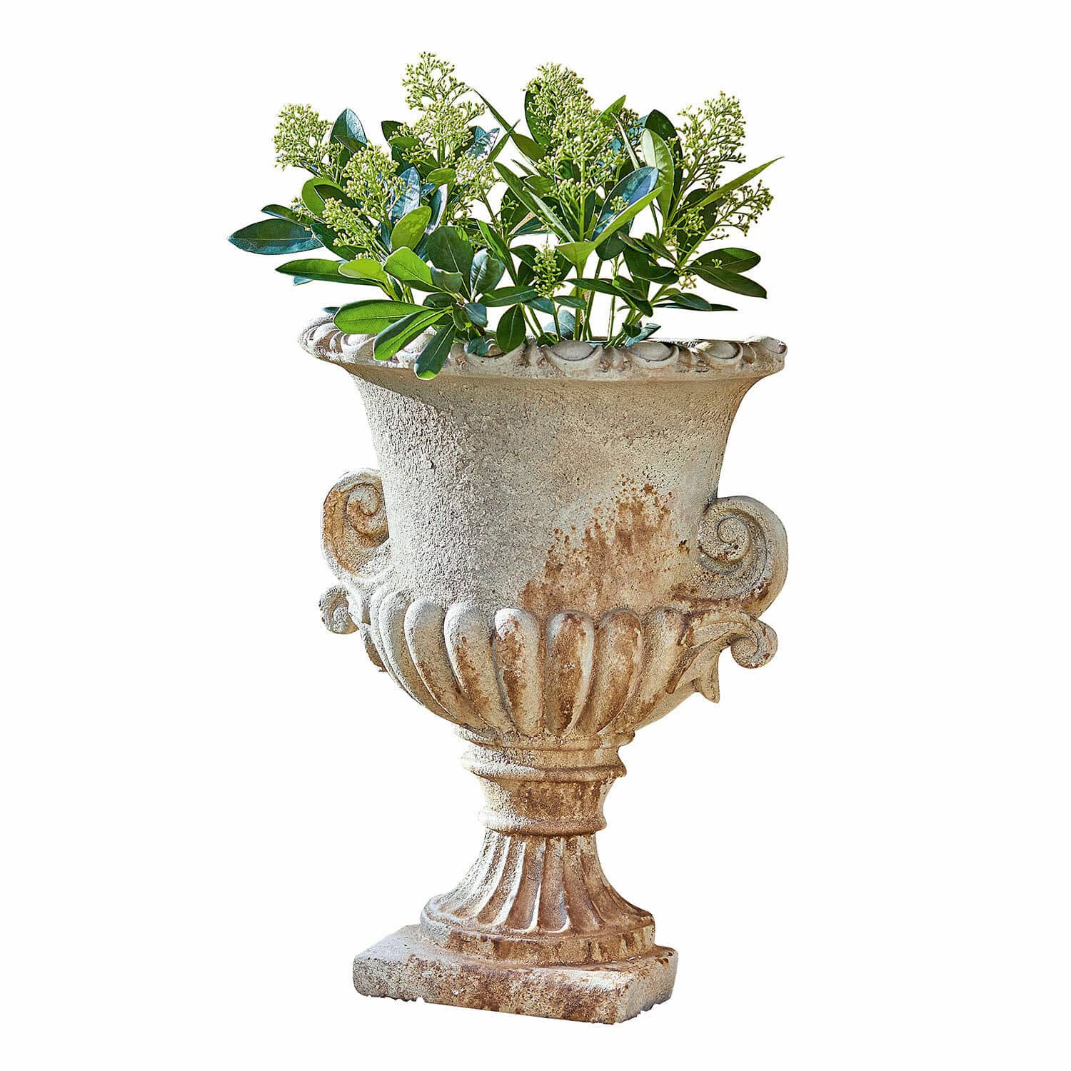 Amfoor Cevio Decoratieve stenen vaas in beige met groene bladeren, perfect voor tuin of terras