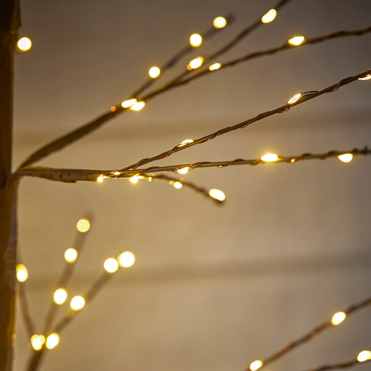 LED-boom Favrieux