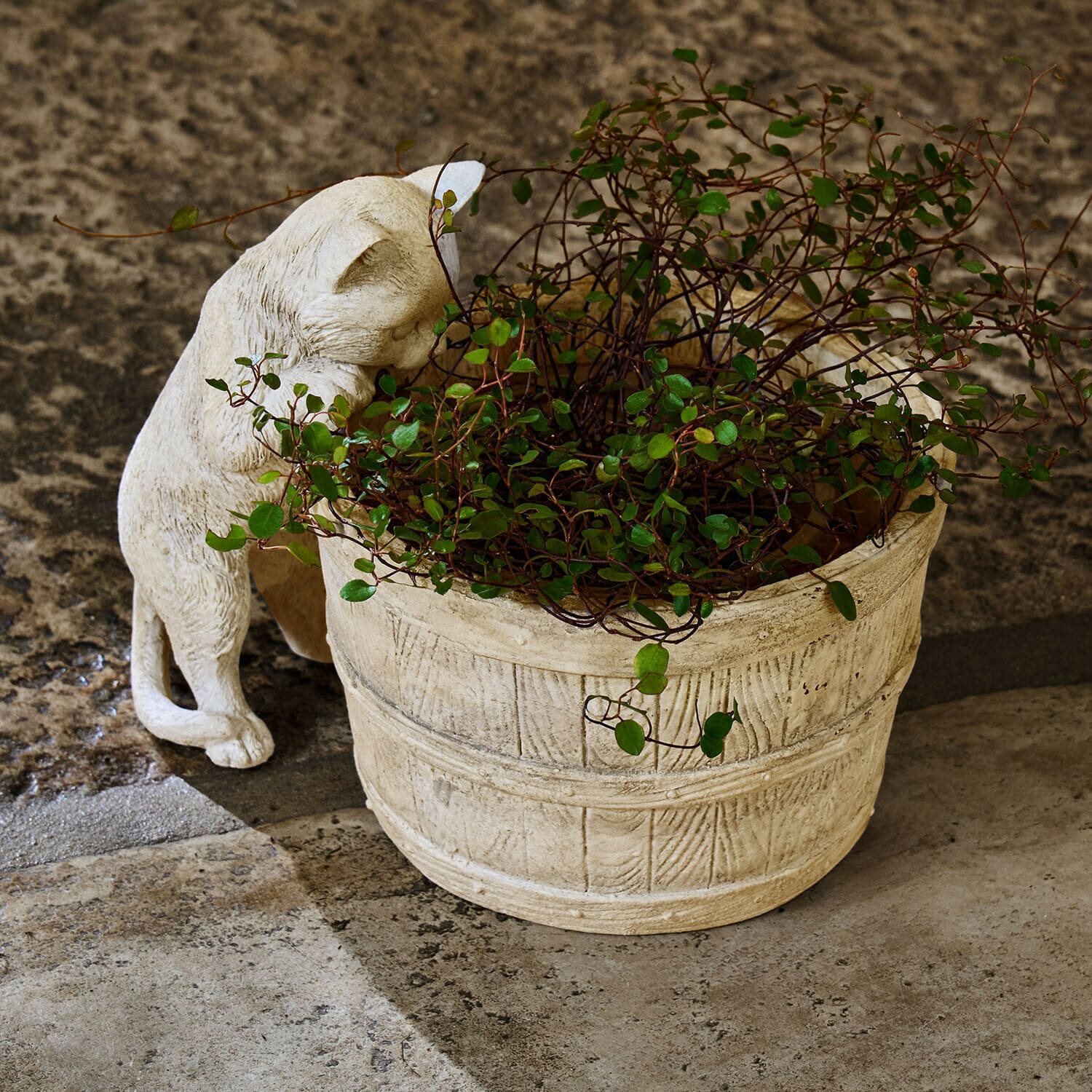 Cache-pot Finløf Pot en pierre claire avec plante verte et statue de chat beige sur sol en pierre