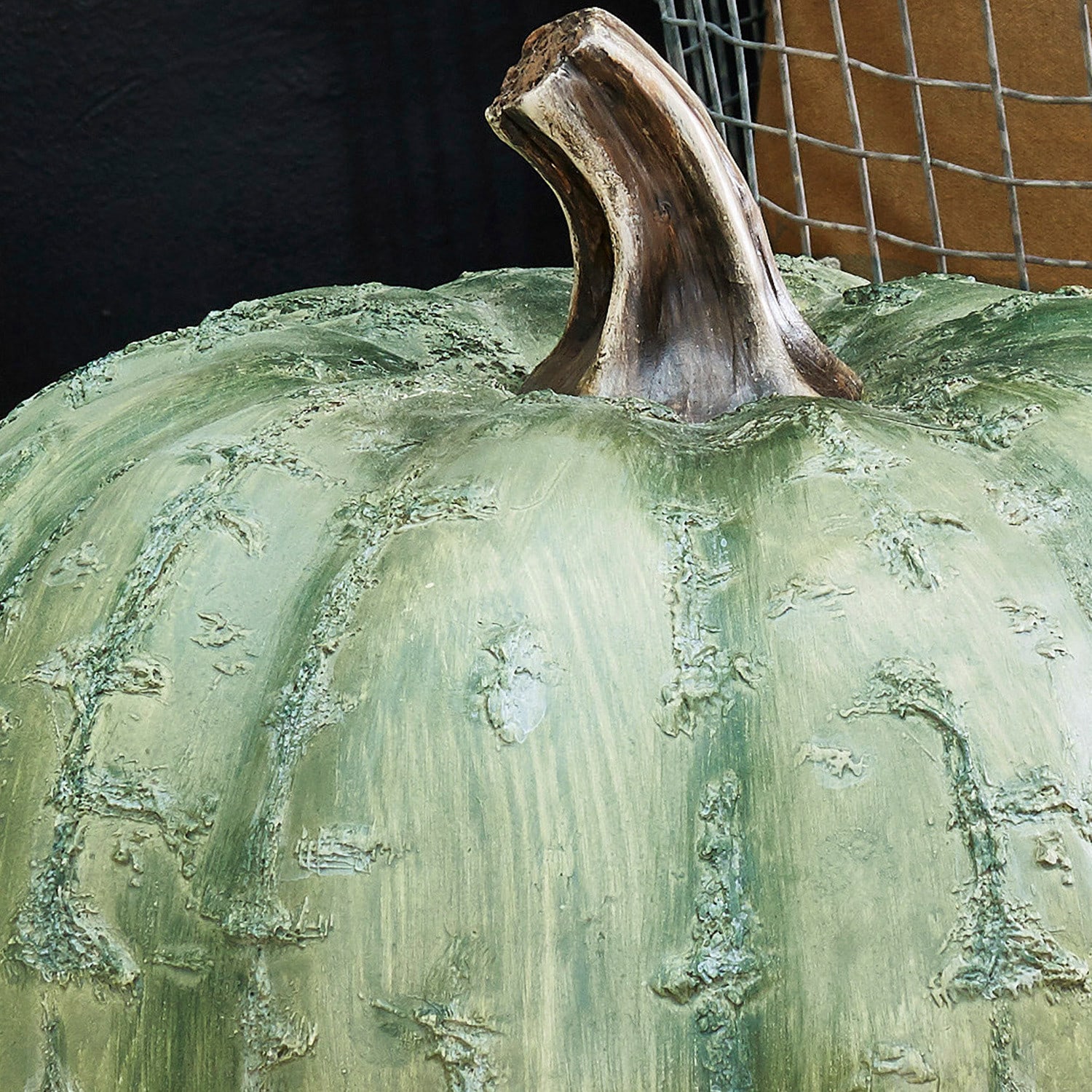 Citrouille Hamo