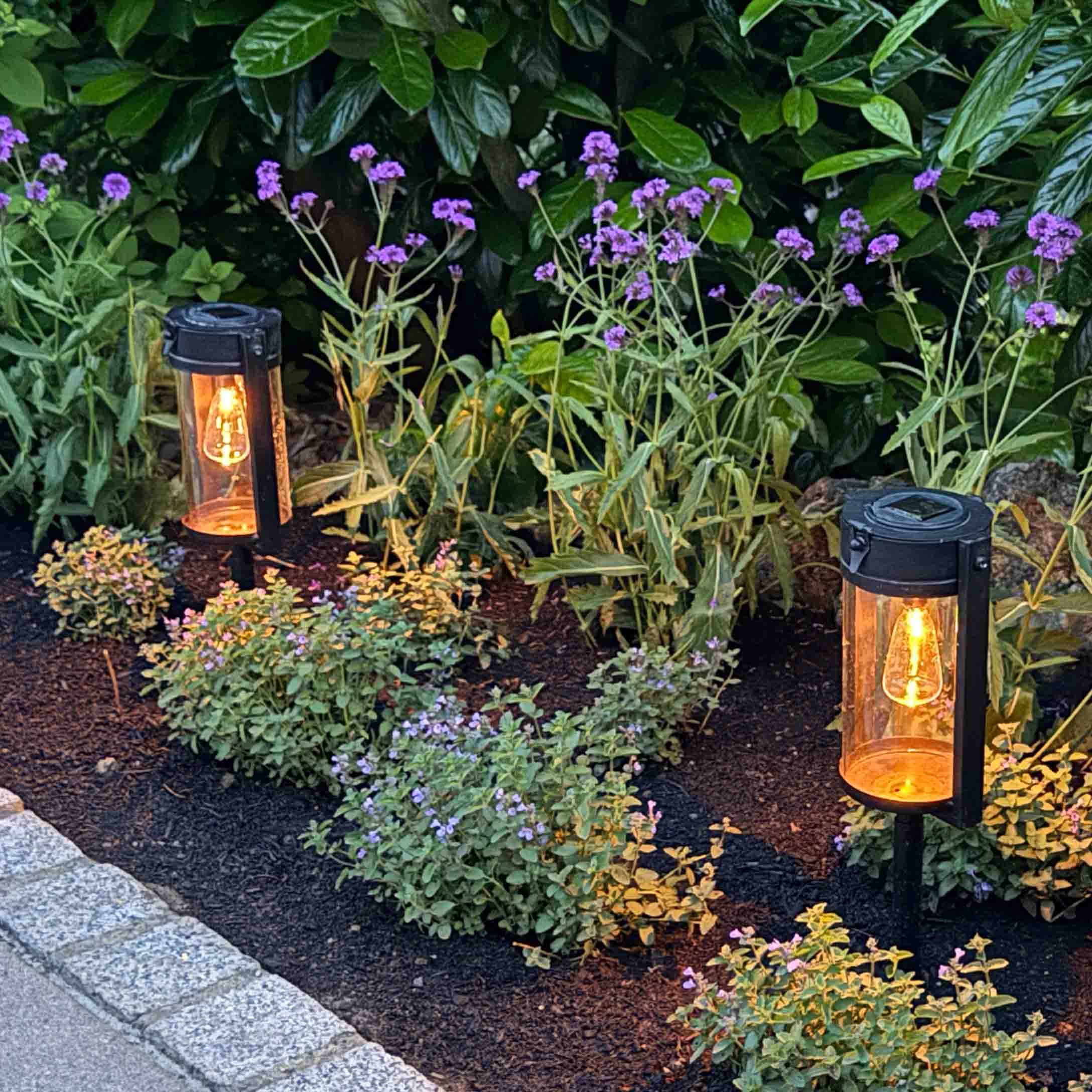 Tuinverlichting van zwart metaal met warm licht tussen groene planten en paarse bloemen