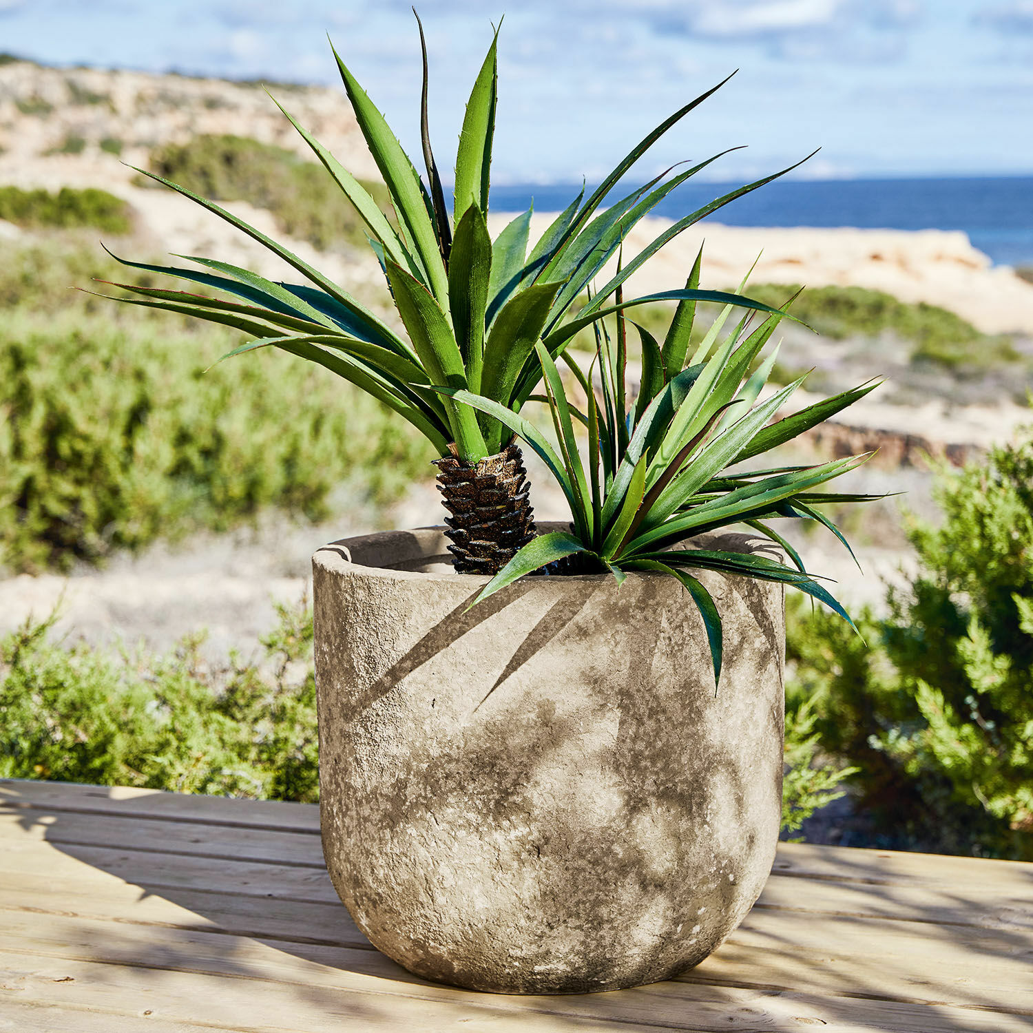 Sierpot Ela Grote grijze betonnen pot met groene planten op terras met uitzicht op zee
