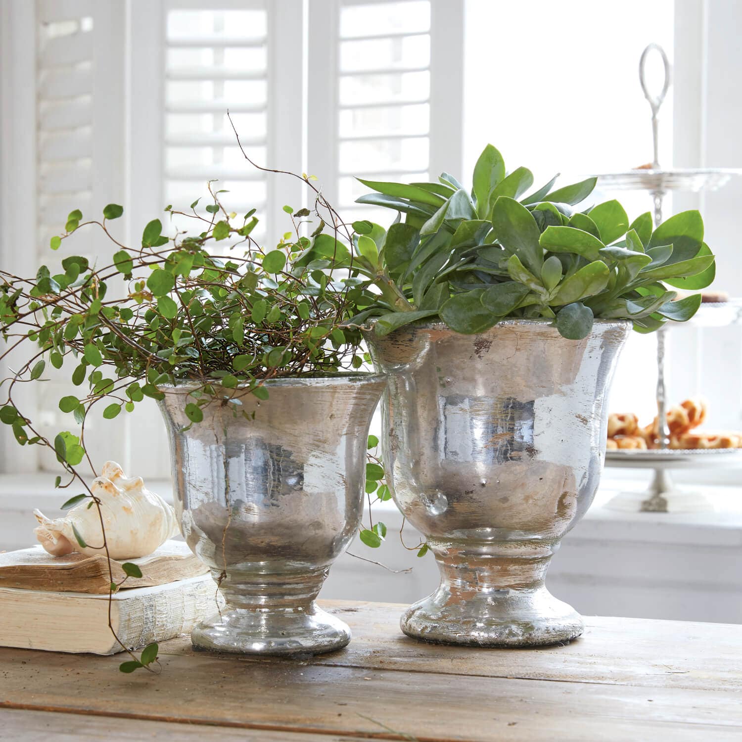 Twee zilverkleurige metalen potten met groene planten op een houten tafel in een lichte kamer