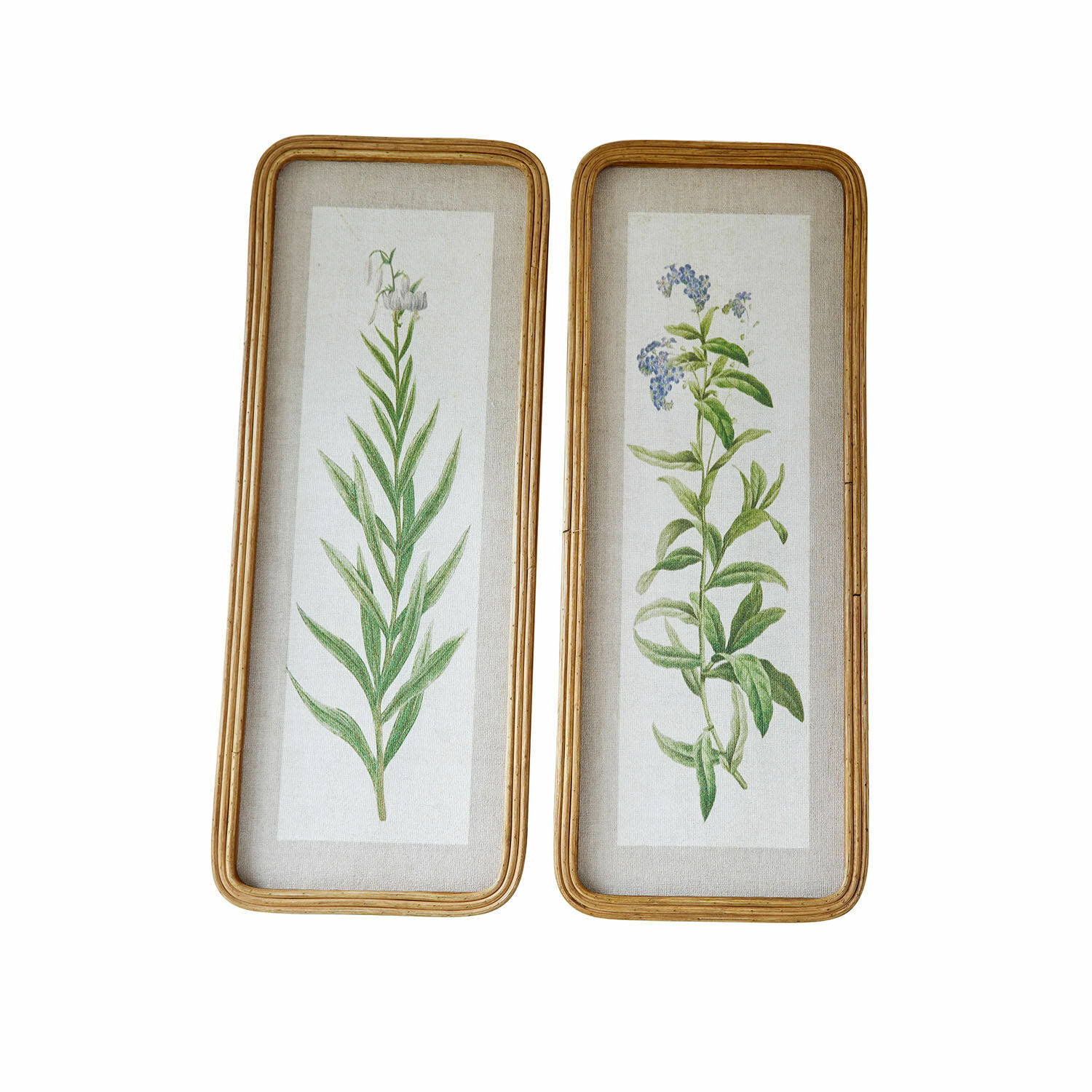 Lot de 2 tableaux Cenori